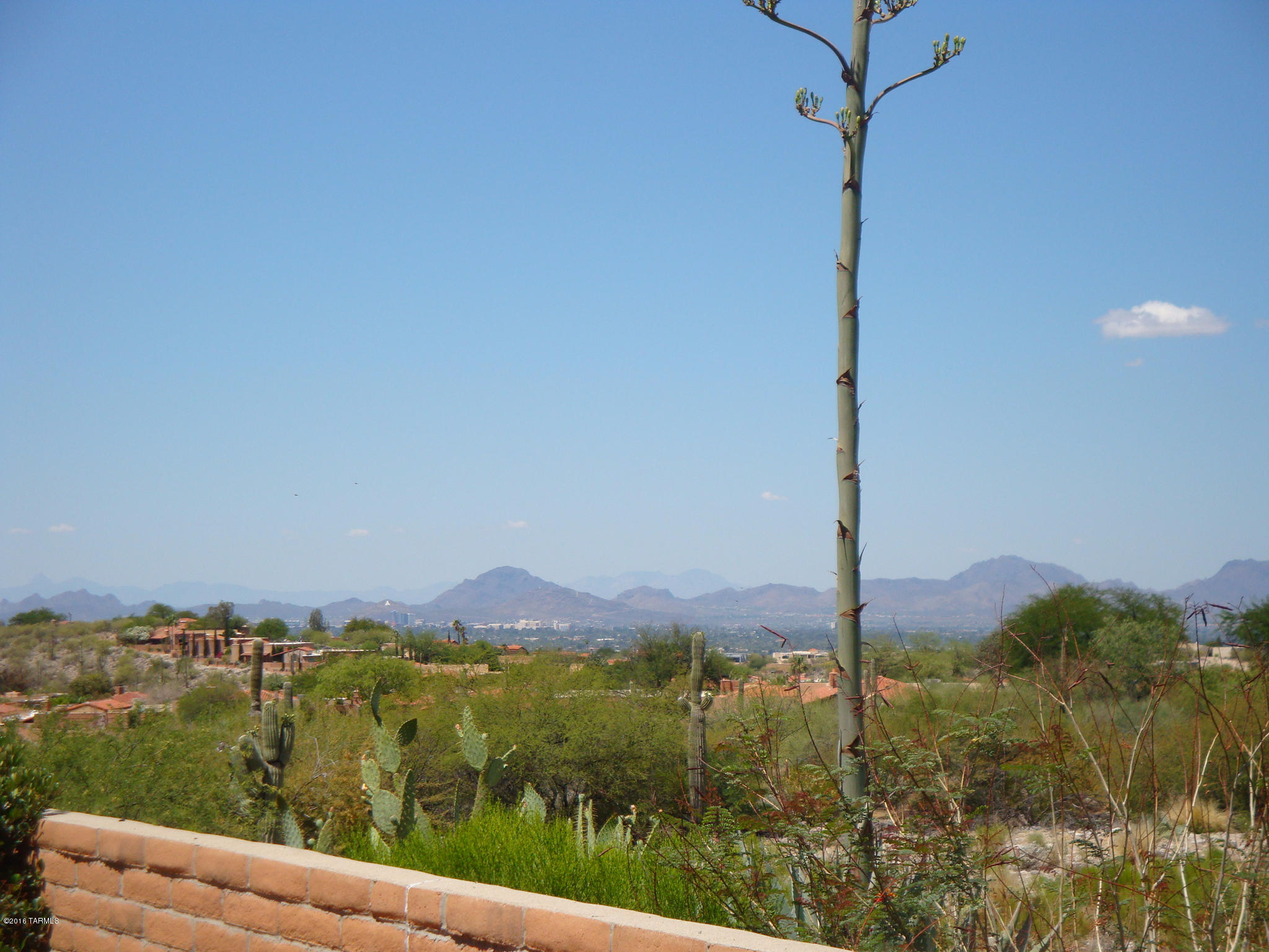 4441 N Camino Ferreo