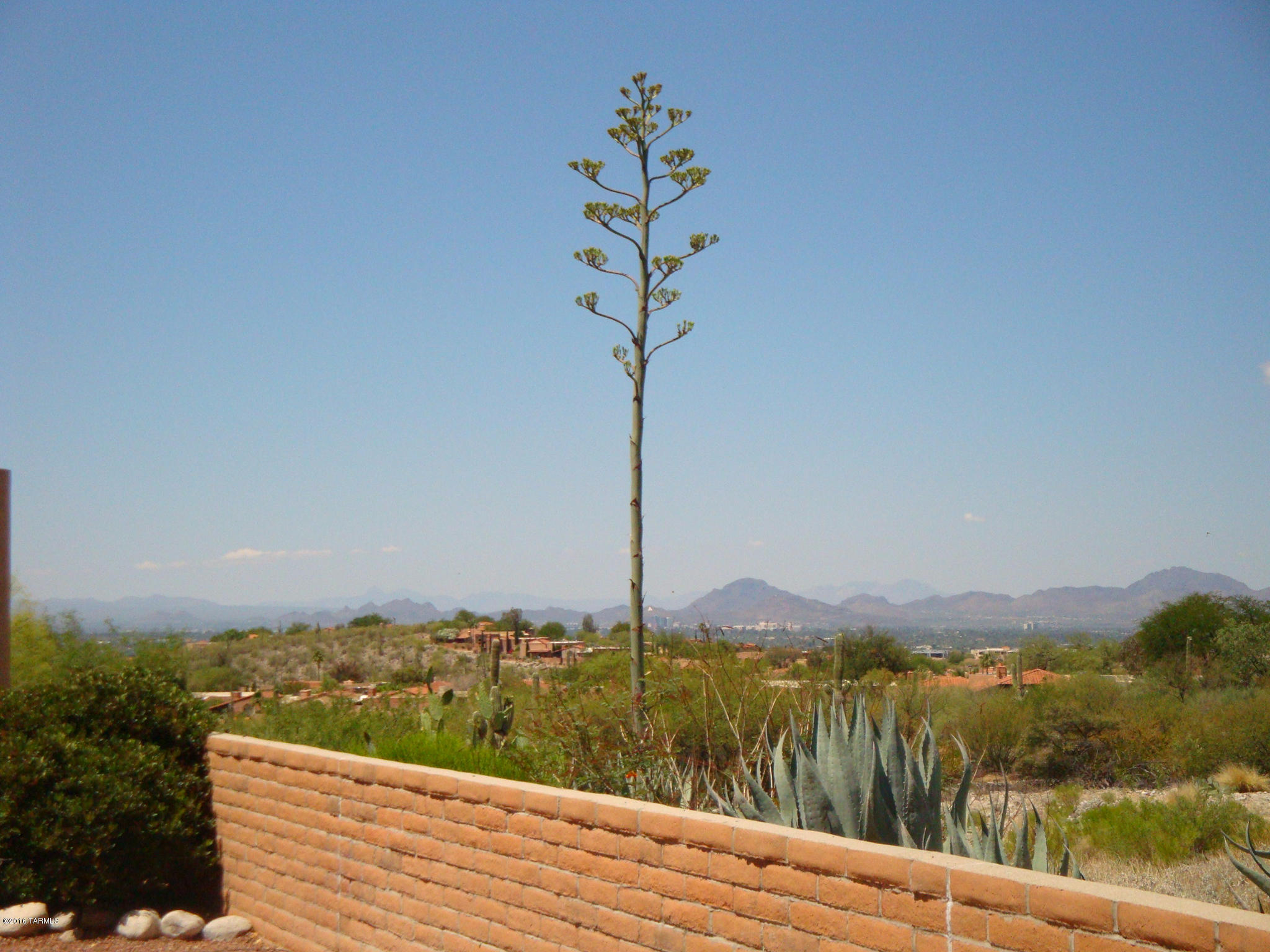 4441 N Camino Ferreo