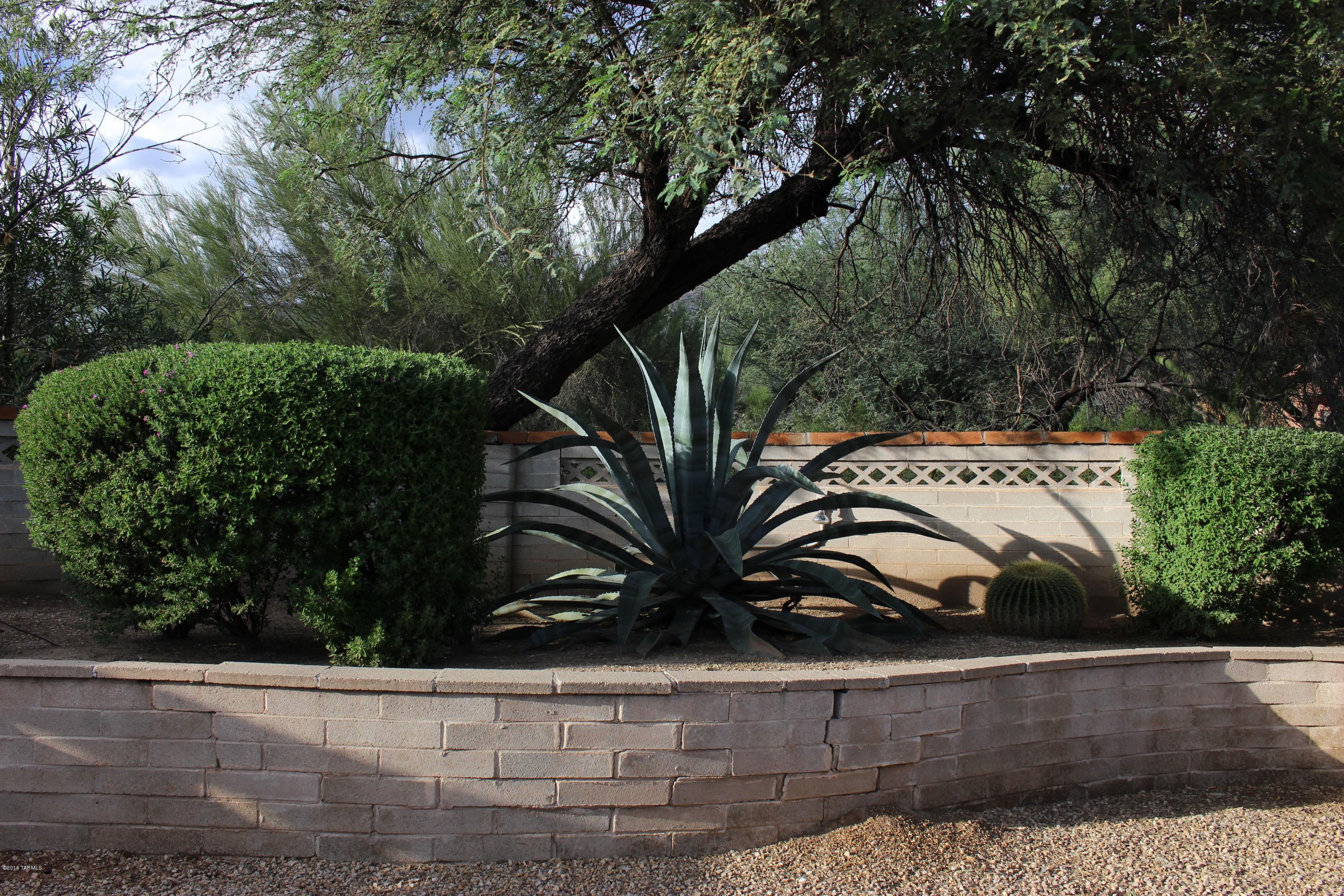 5955 N Camino Esplendora