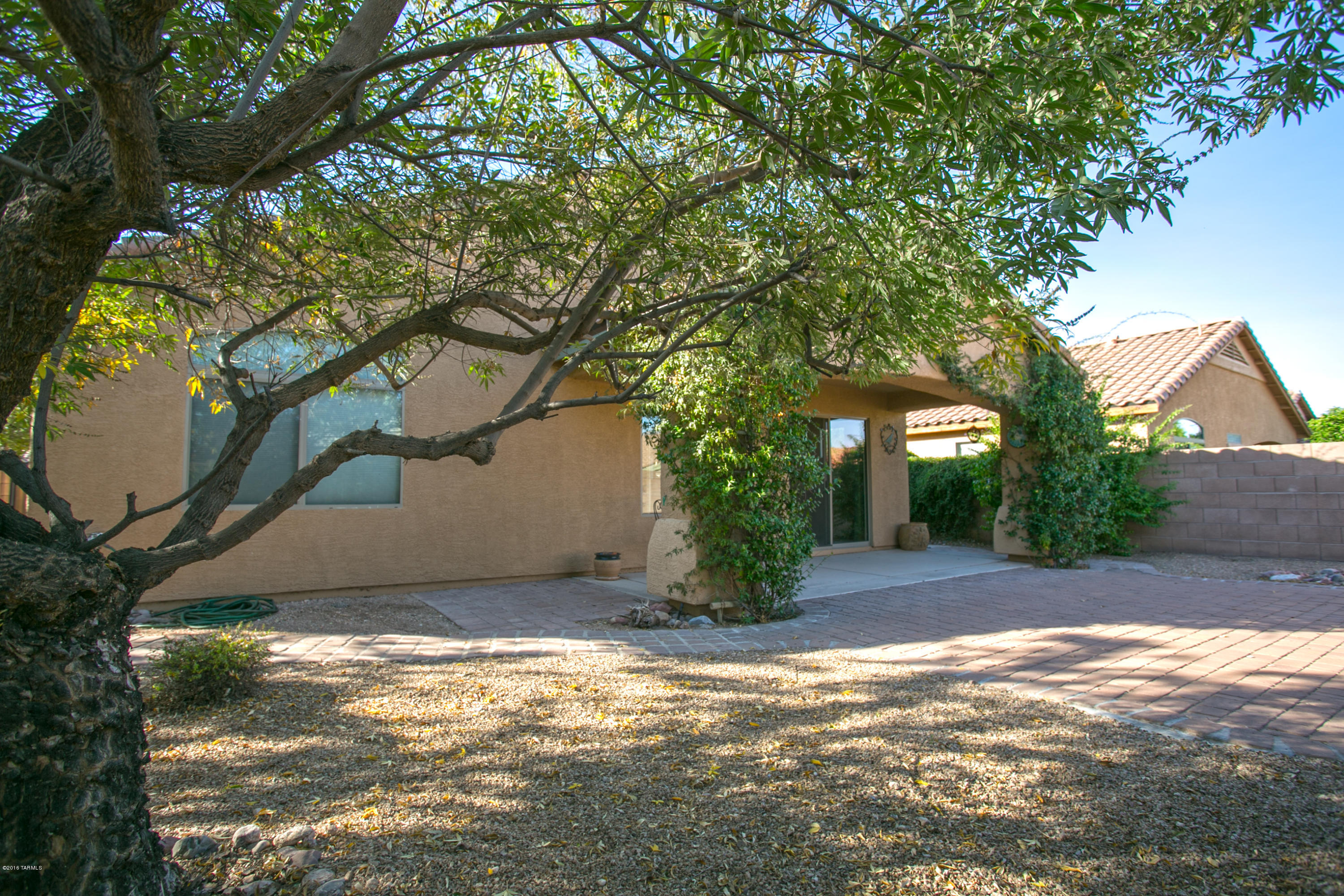 10533 E Feltleaf Willow Trail