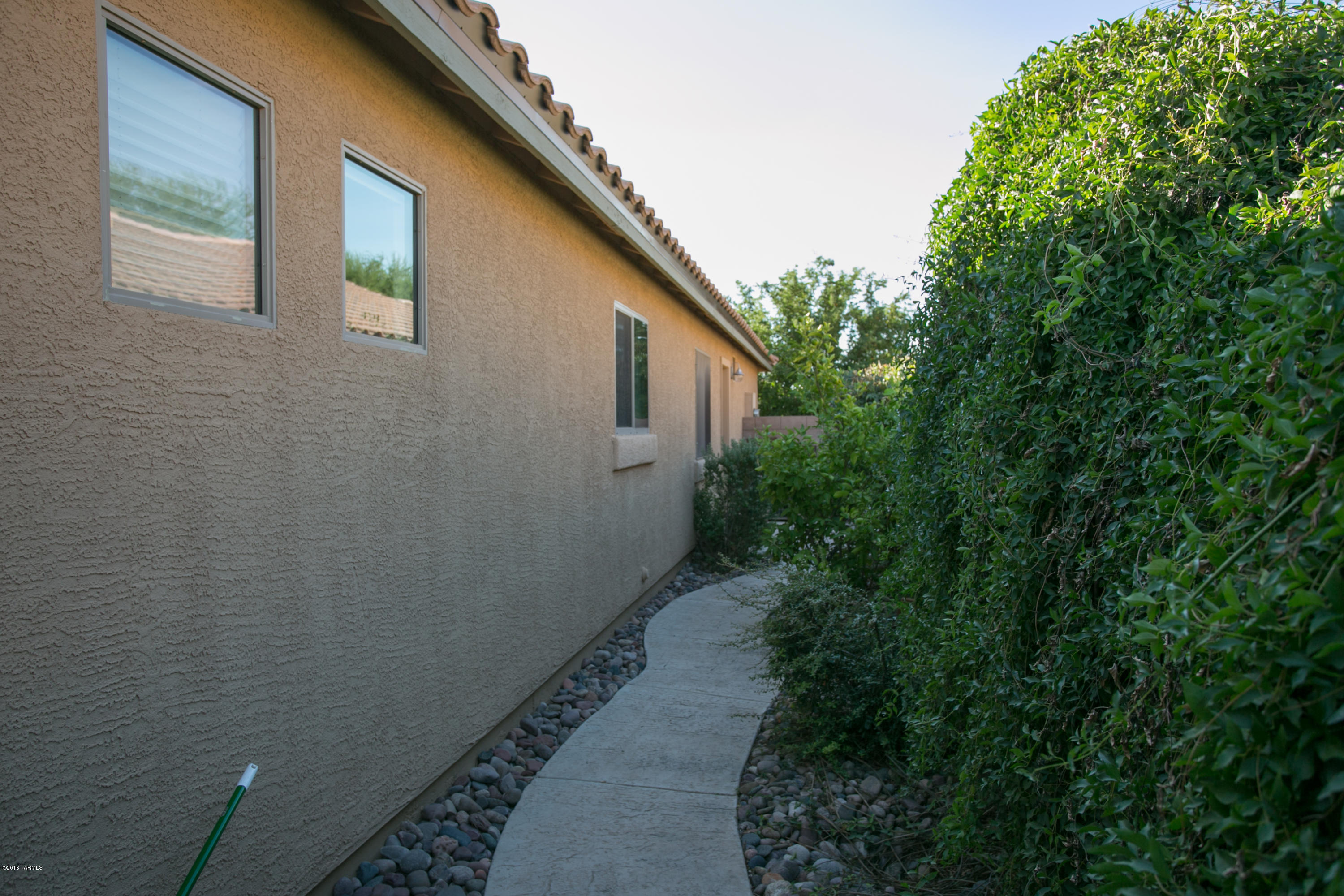 10533 E Feltleaf Willow Trail