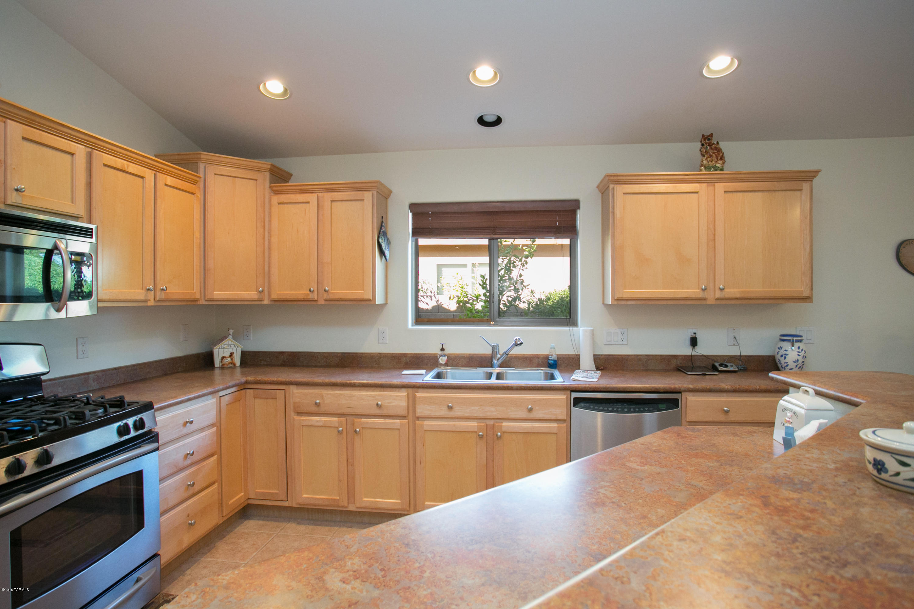 10533 E Feltleaf Willow Trail