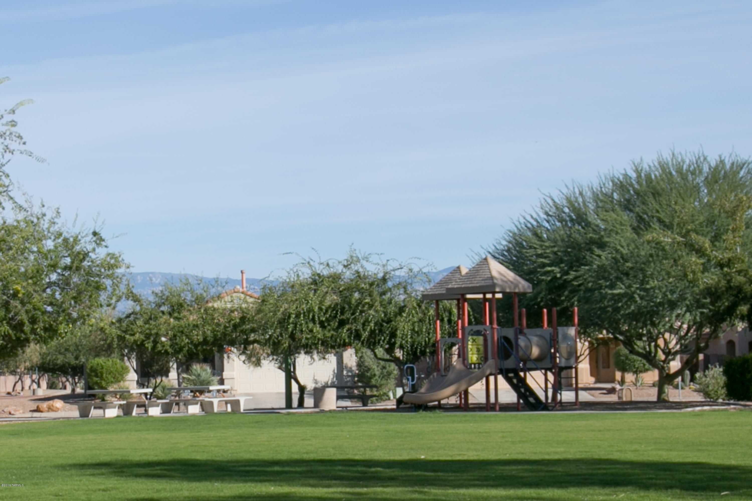 10533 E Feltleaf Willow Trail