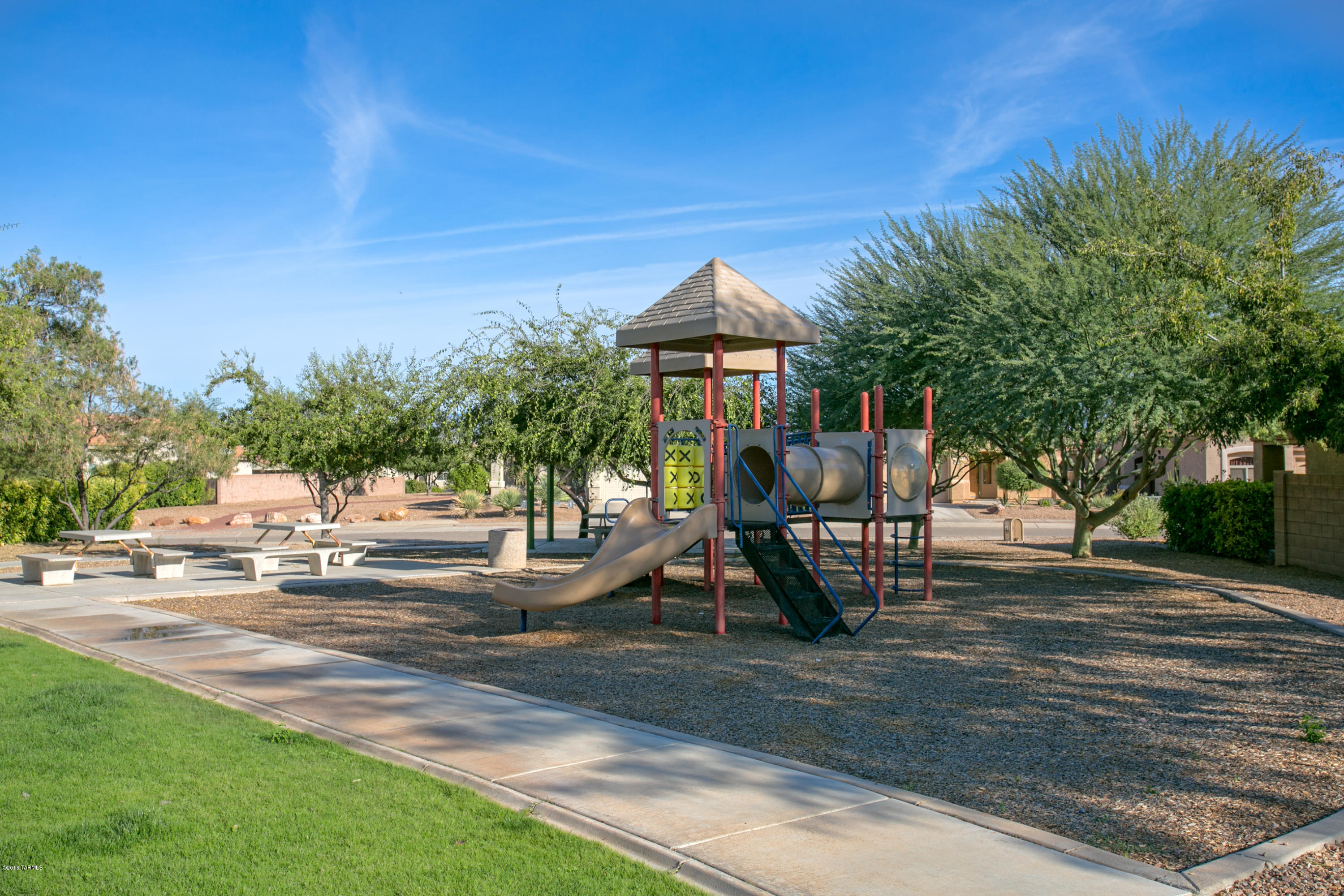 10533 E Feltleaf Willow Trail