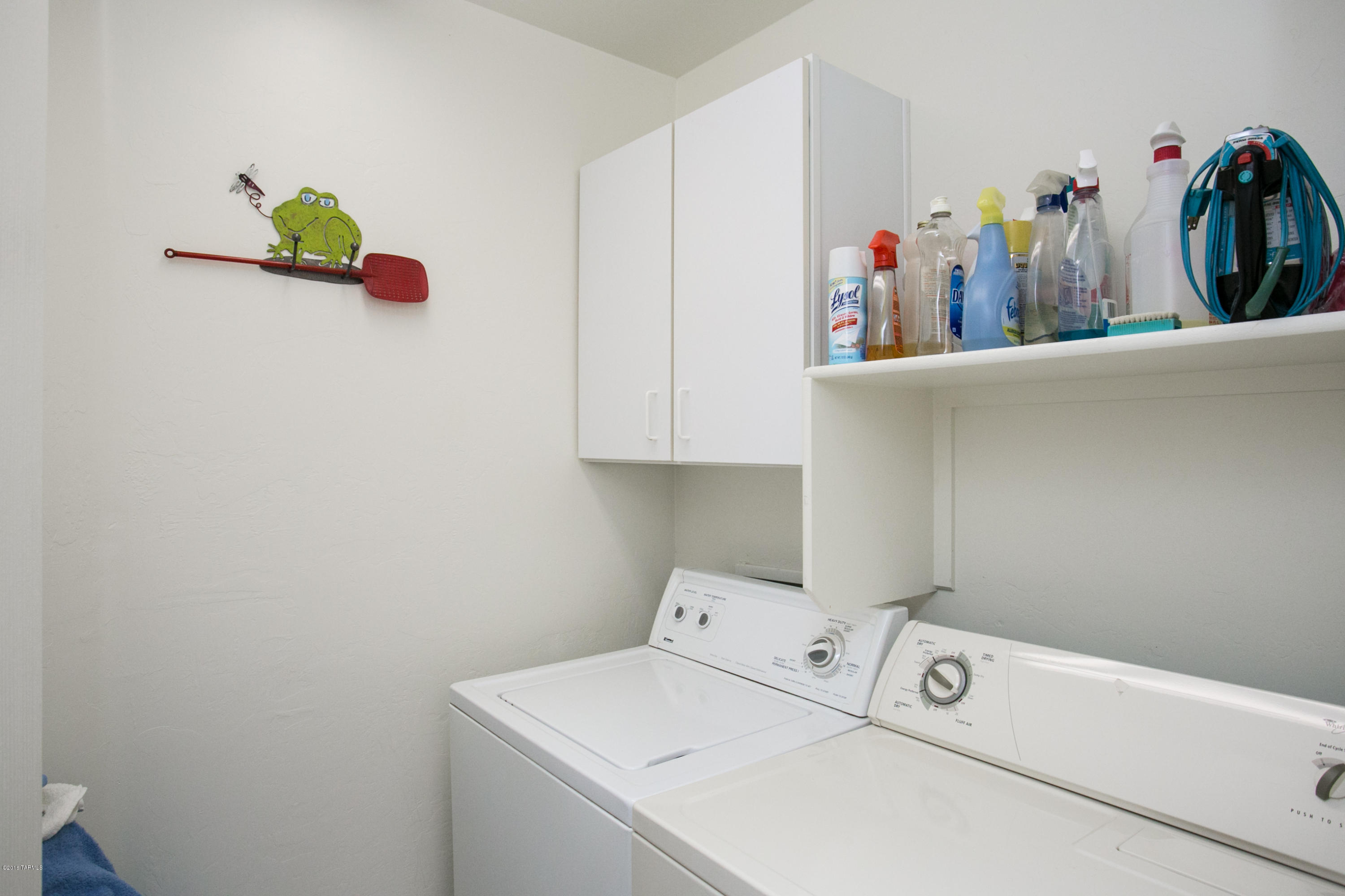 10533 E Feltleaf Willow Trail