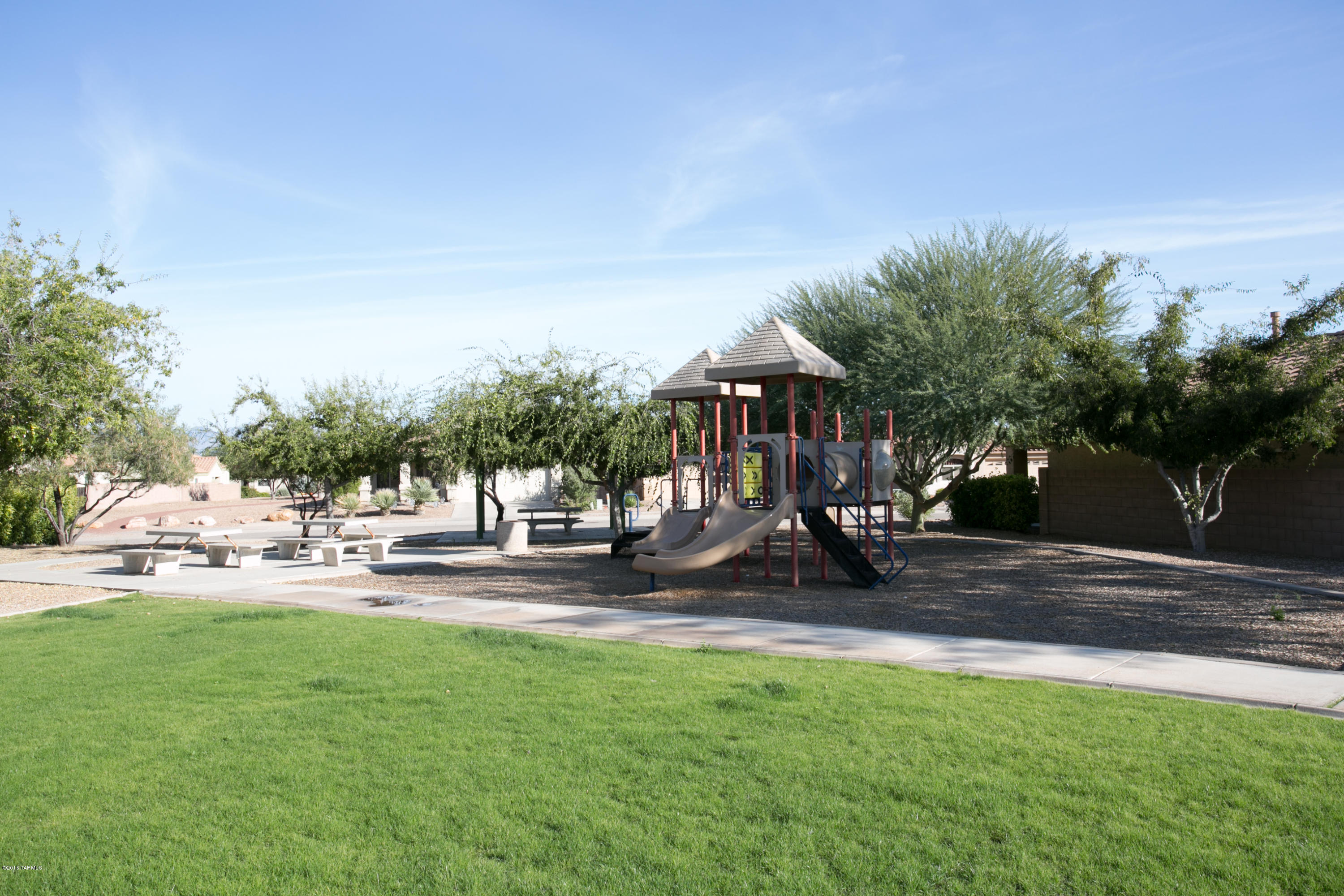 10533 E Feltleaf Willow Trail