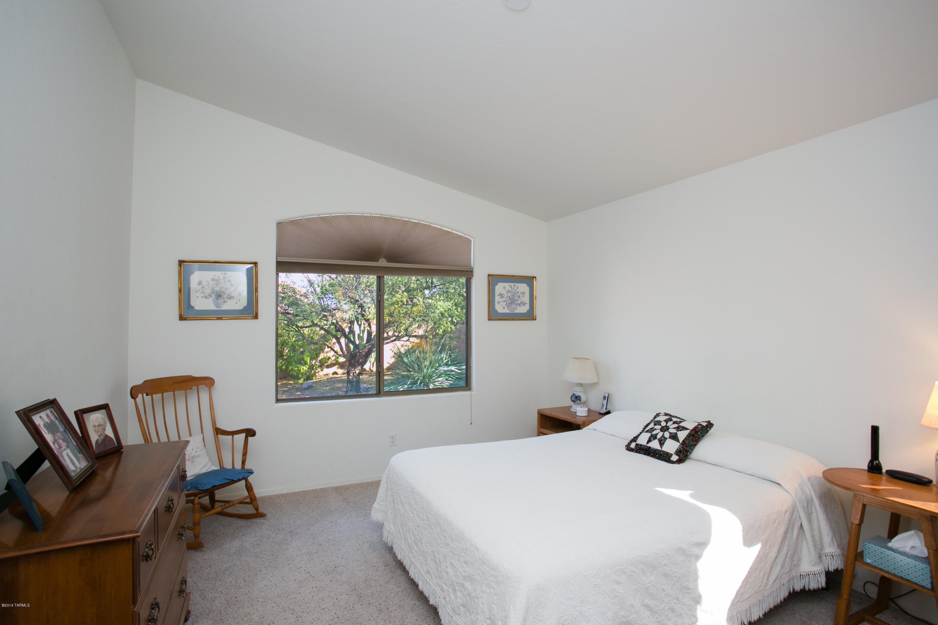 10533 E Feltleaf Willow Trail