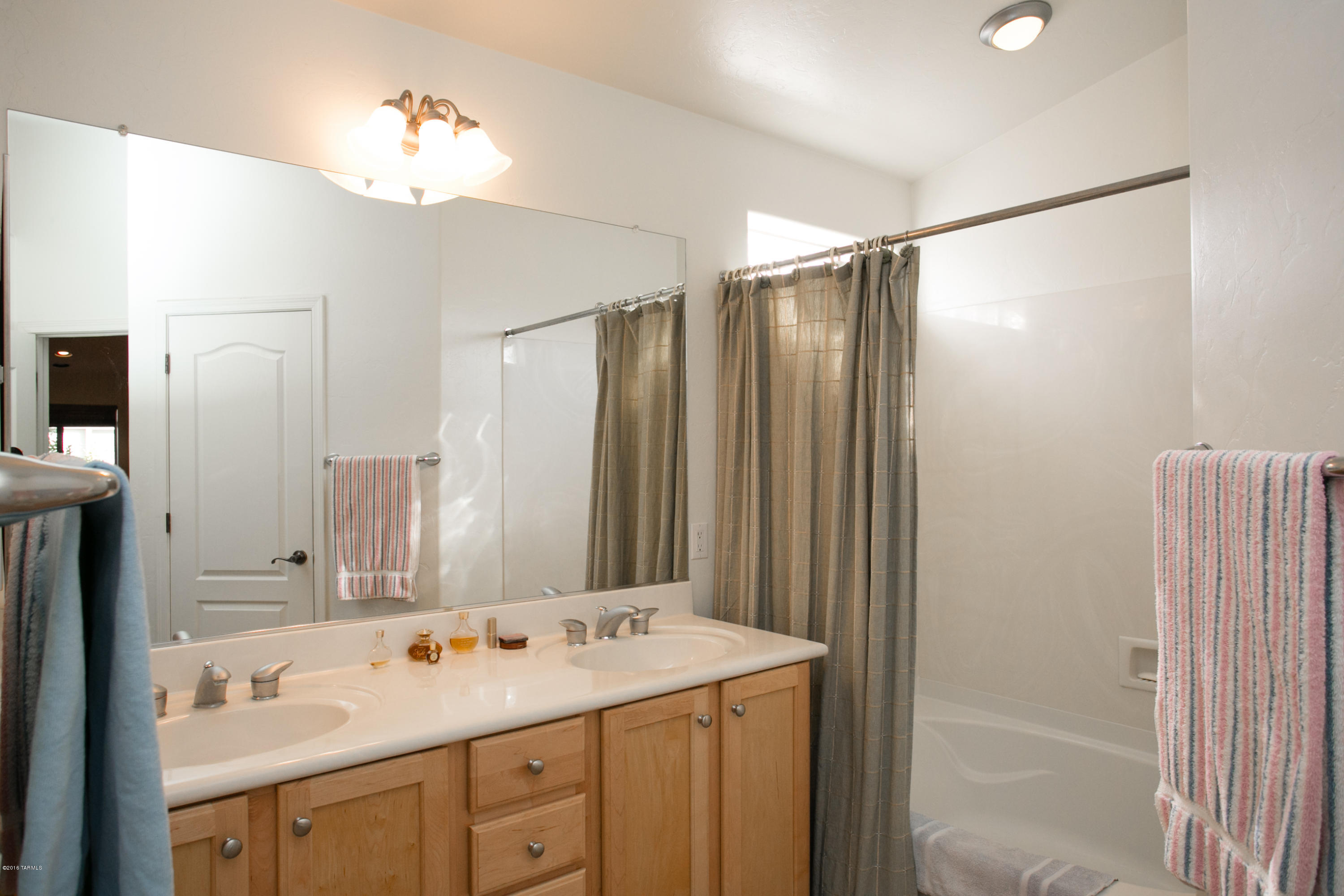 10533 E Feltleaf Willow Trail