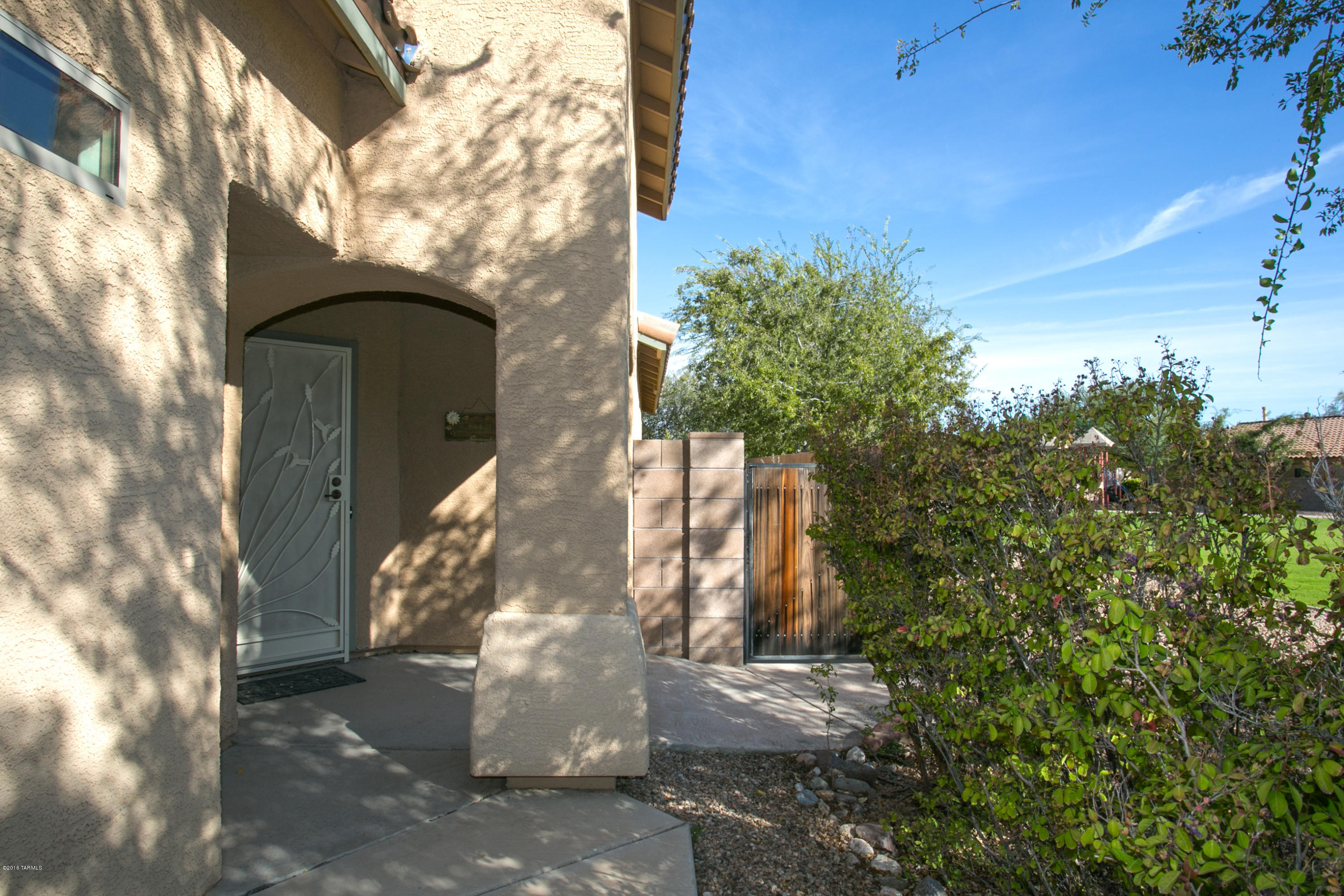 10533 E Feltleaf Willow Trail