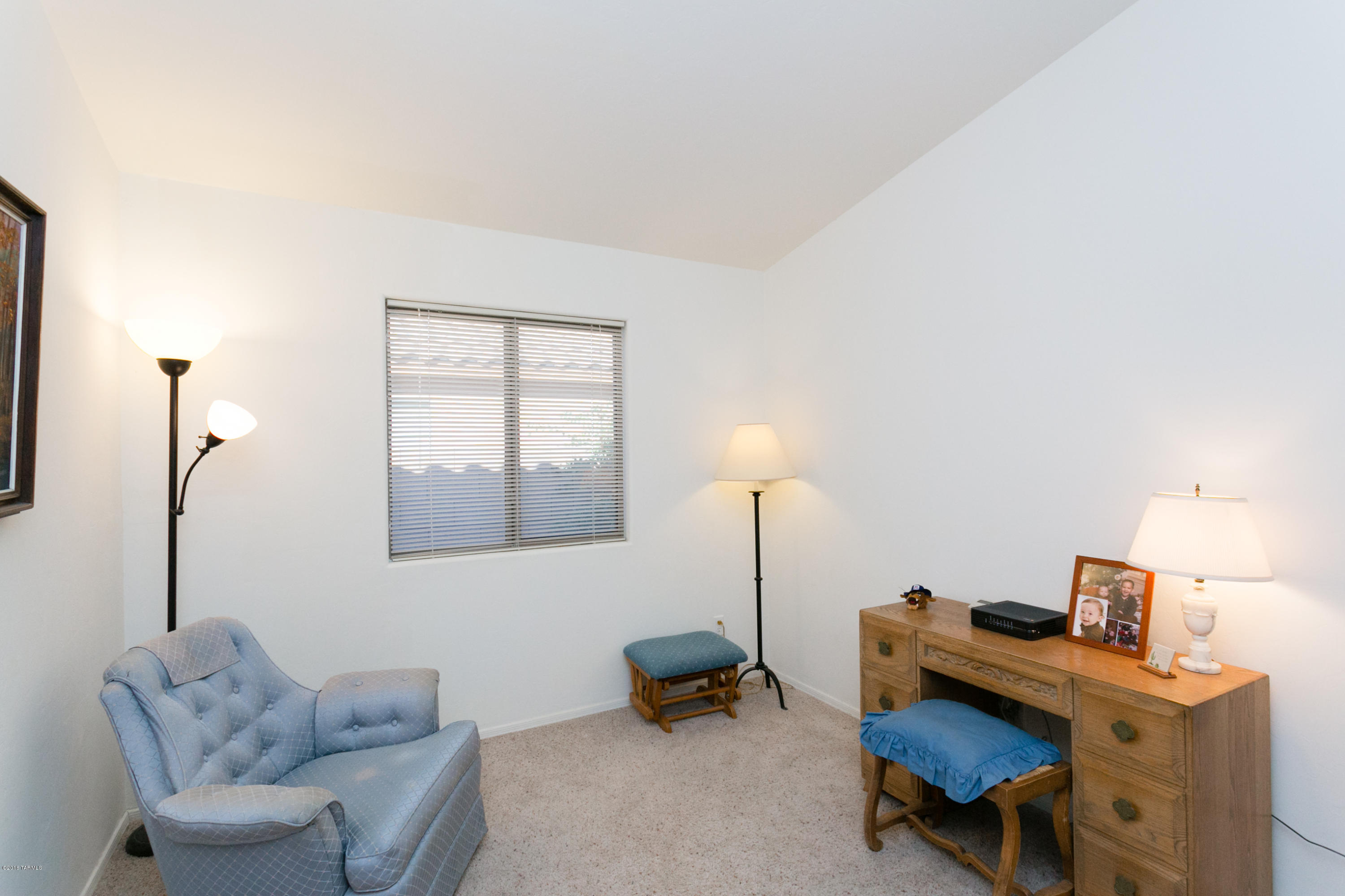 10533 E Feltleaf Willow Trail