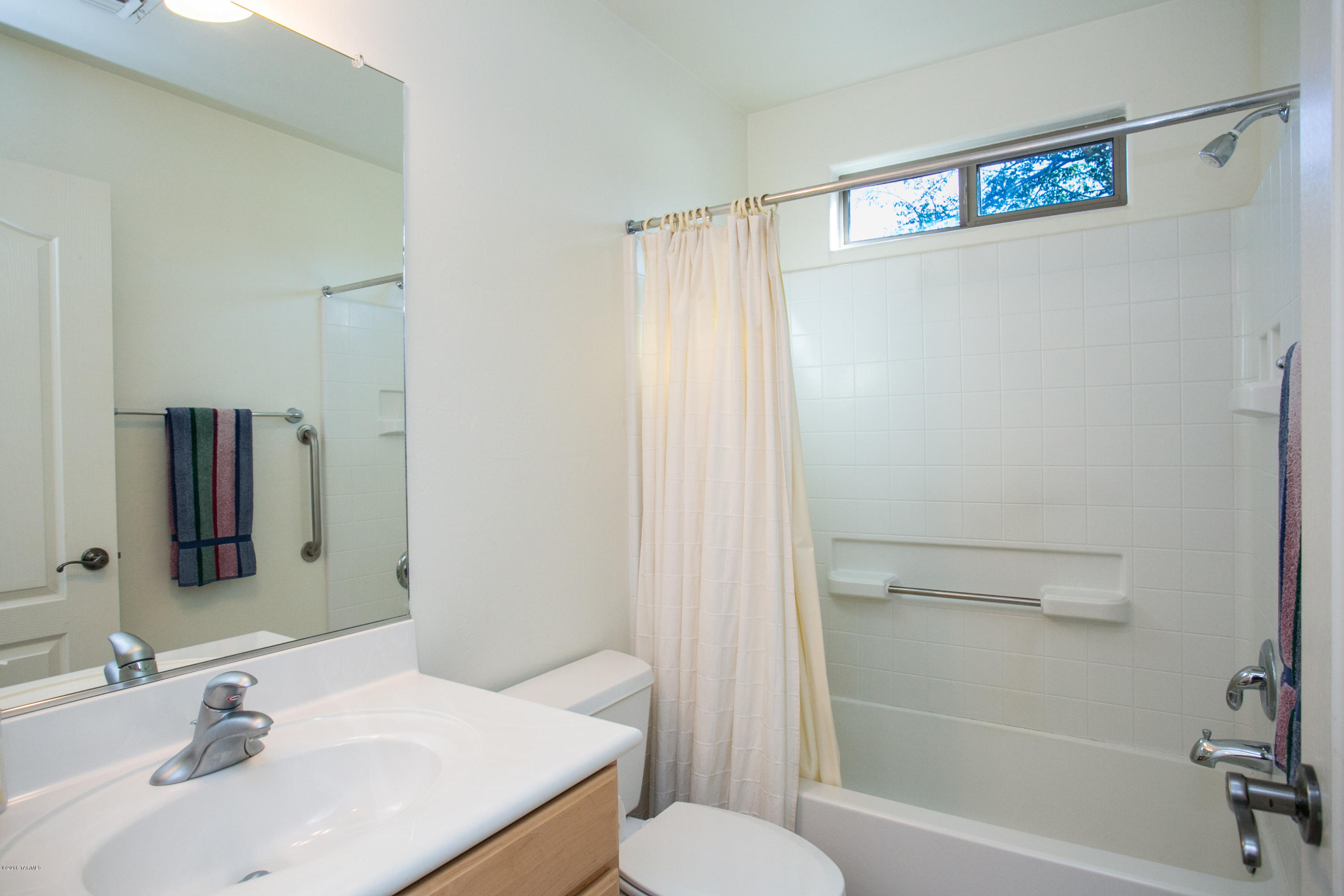 10533 E Feltleaf Willow Trail