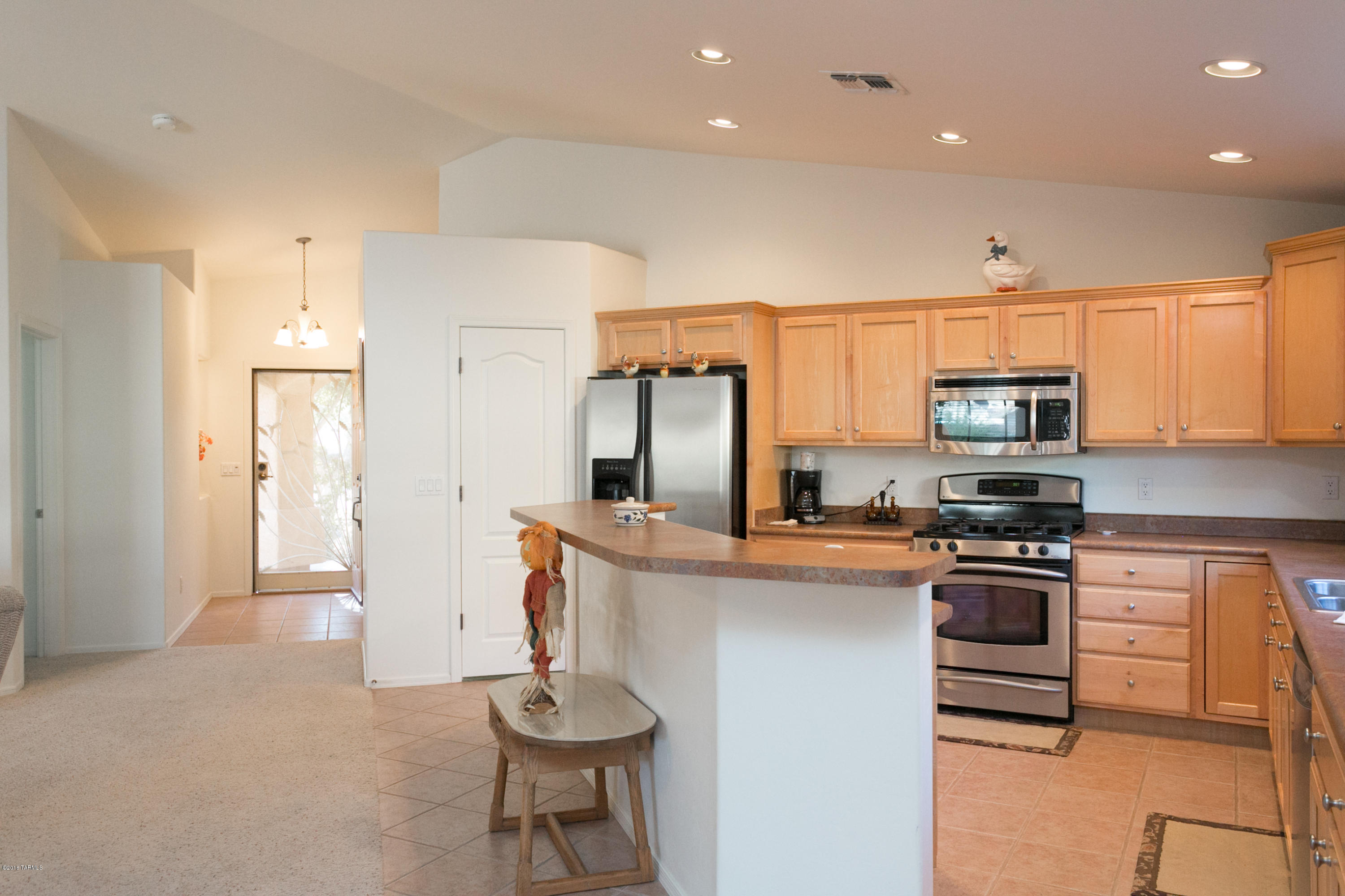 10533 E Feltleaf Willow Trail