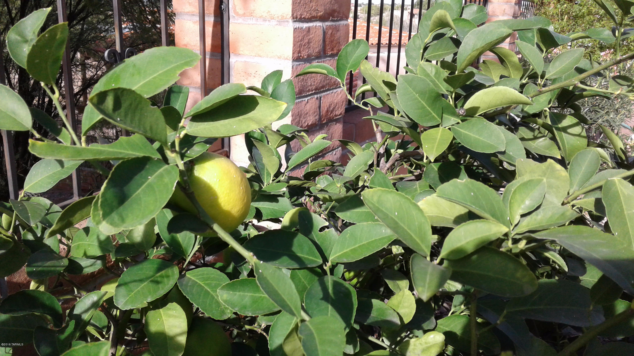 6710 E Loma Del Bribon