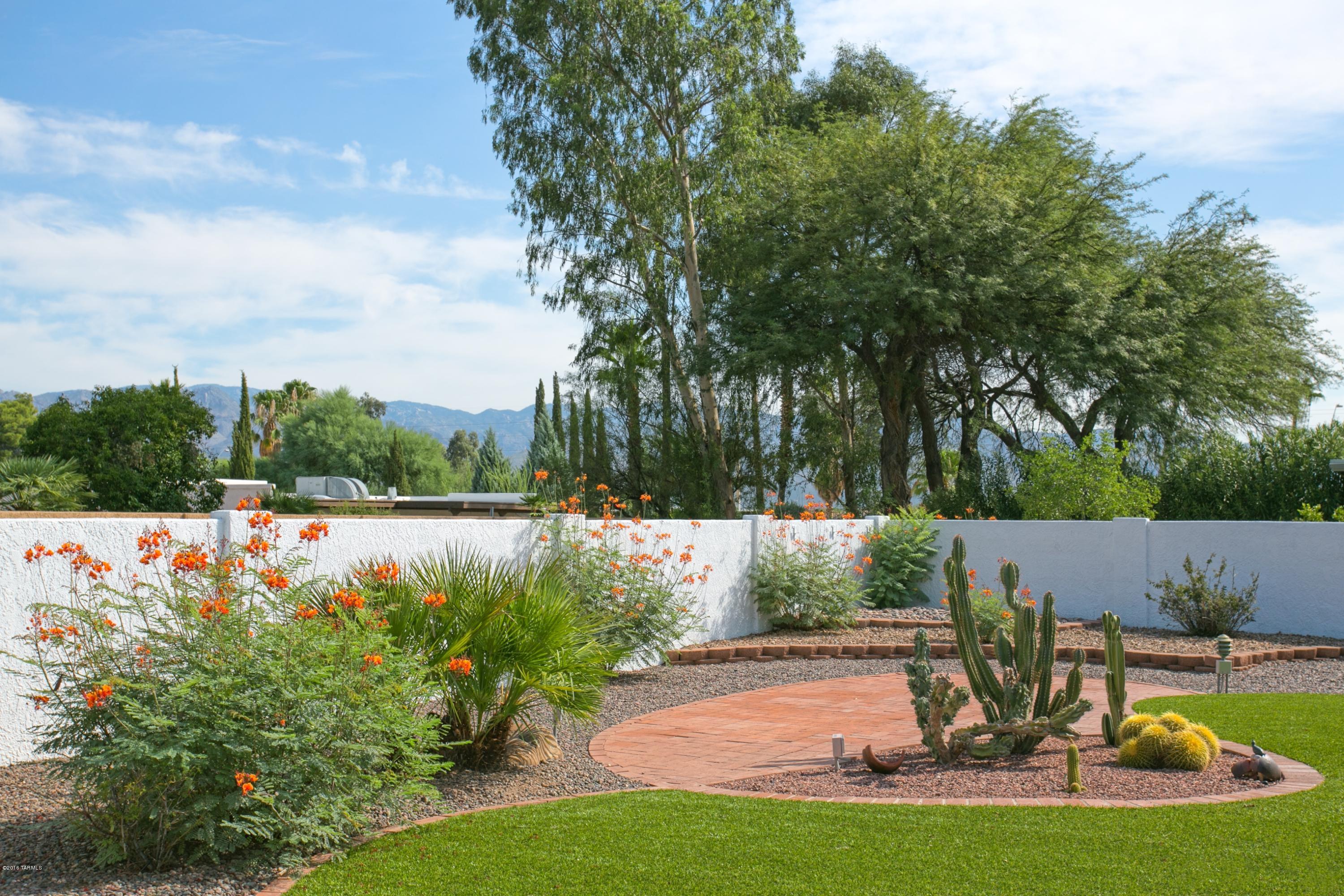 7029 E Calle Cerca