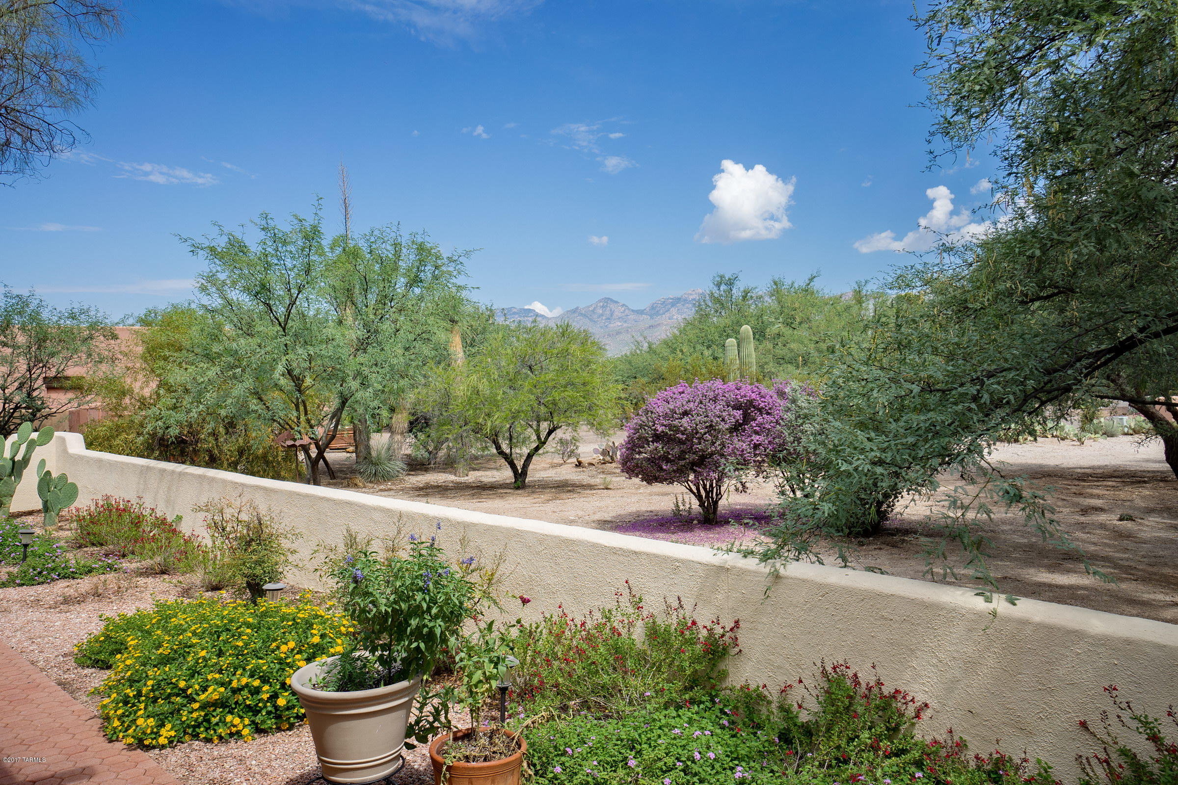 11680 E Calle del Valle