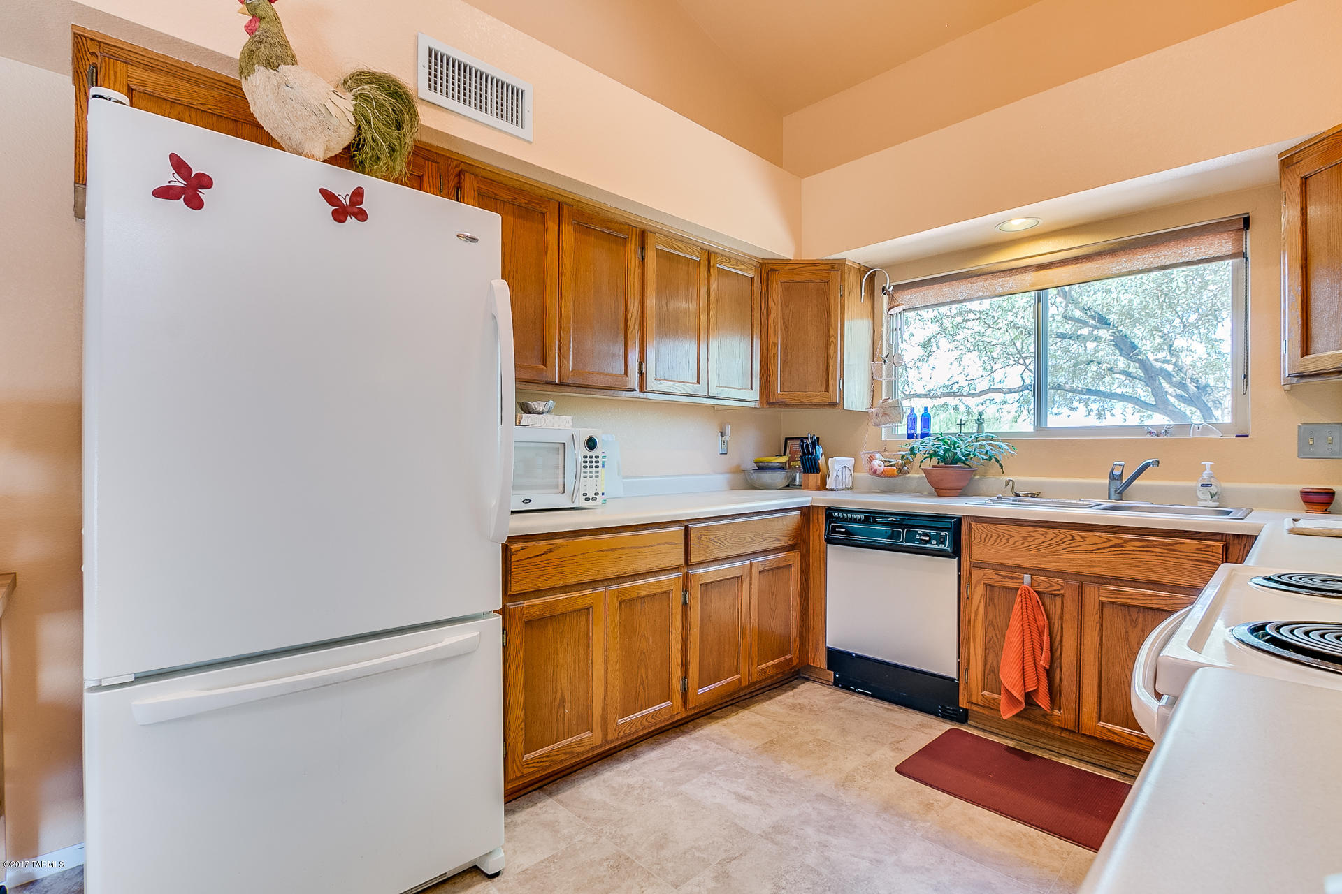 9730 N Camino Del Grillo