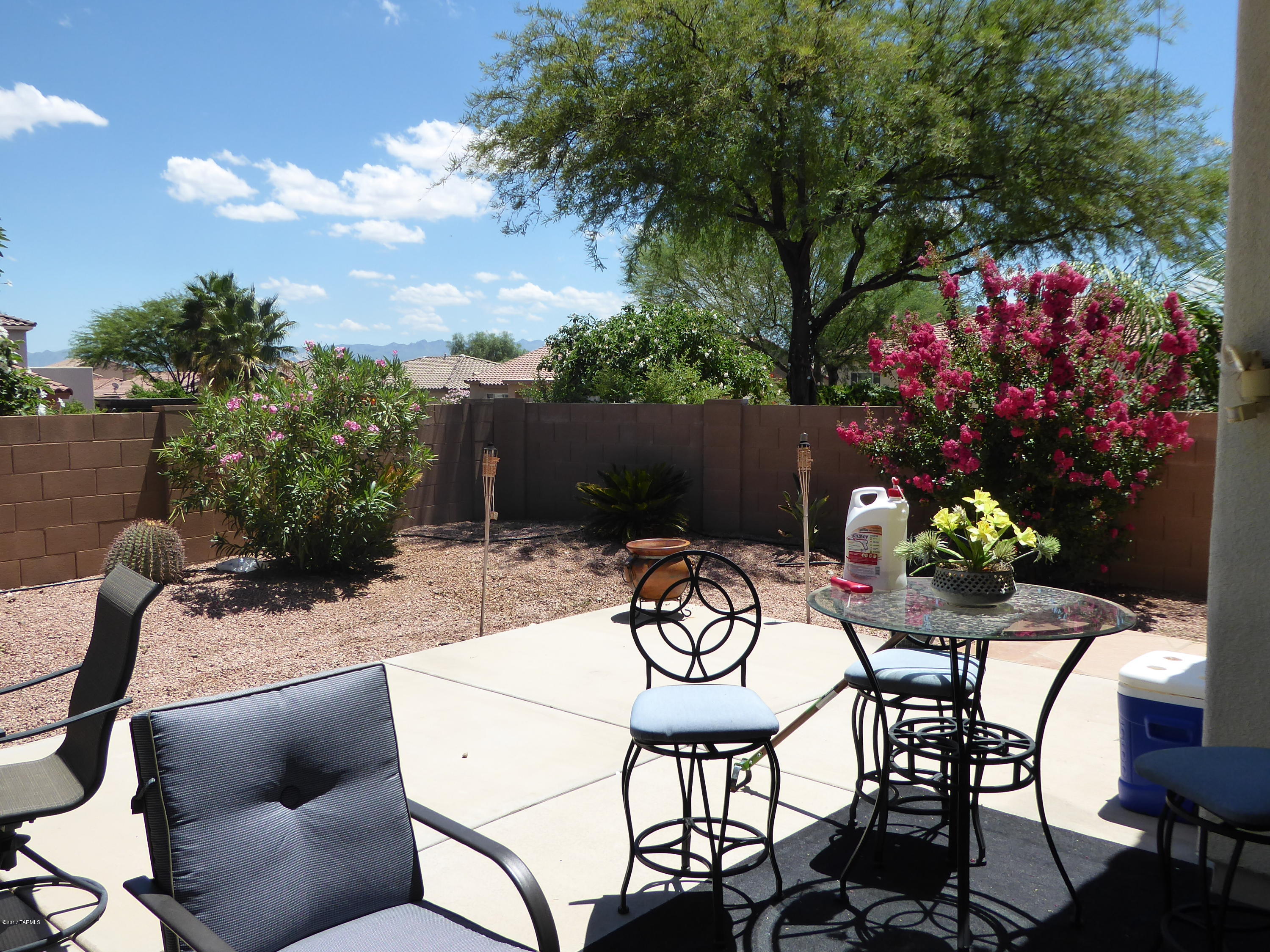 15097 S Camino Rio Puerco