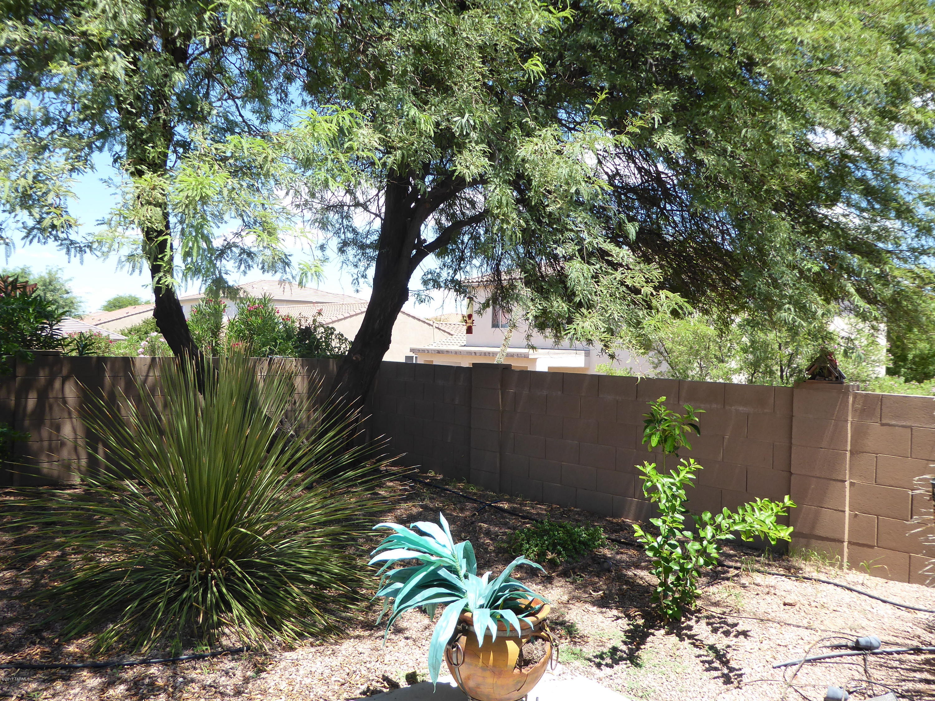 15097 S Camino Rio Puerco