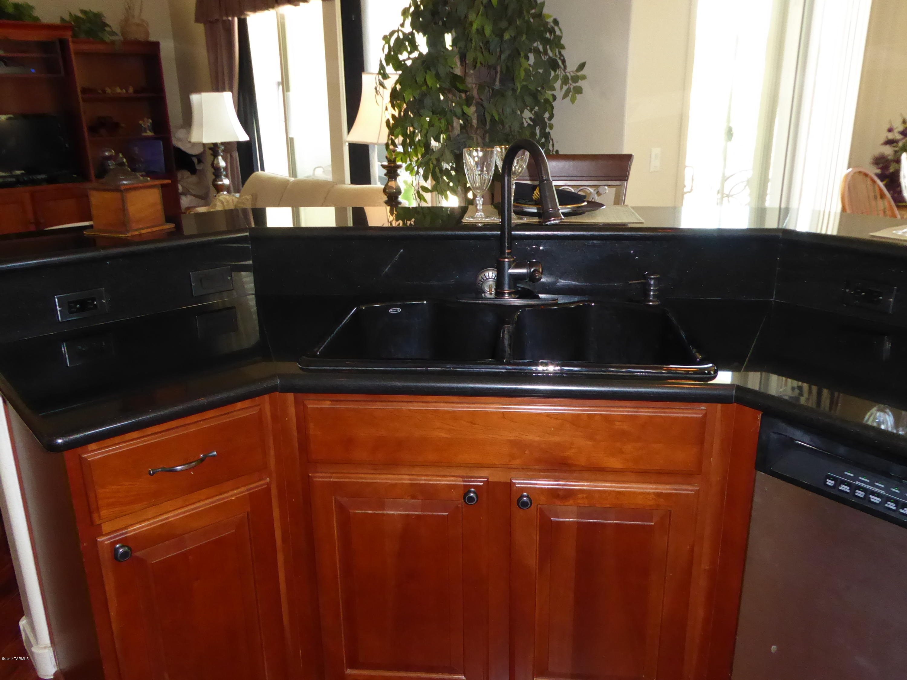 15097 S Camino Rio Puerco