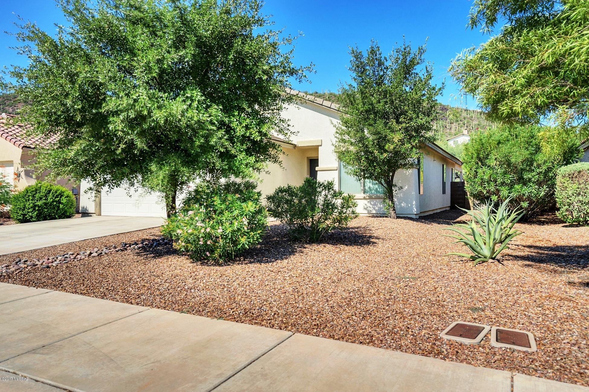 10225 N Onyx Moon Drive