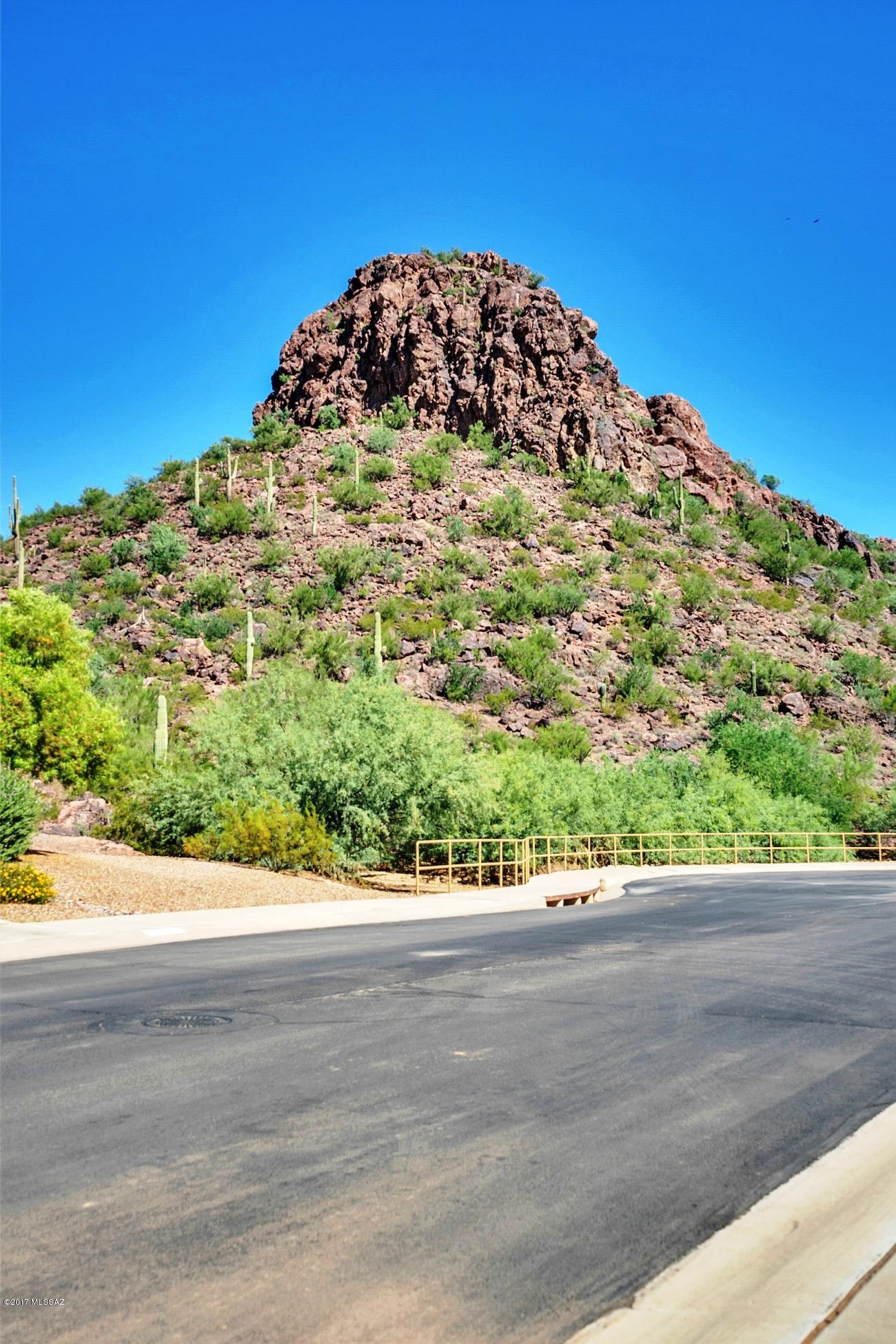 10225 N Onyx Moon Drive