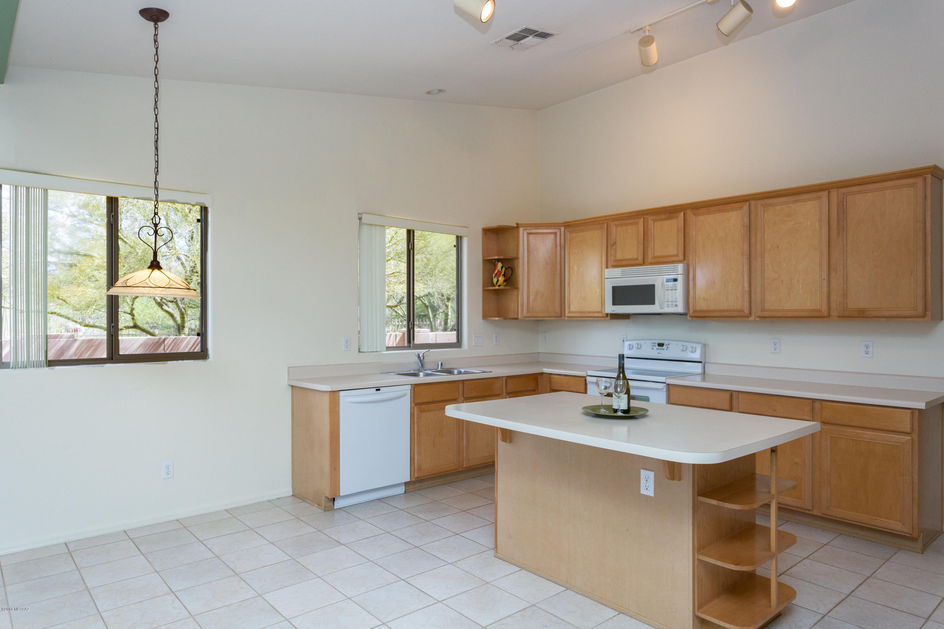 11261 N Twin Spur Court
