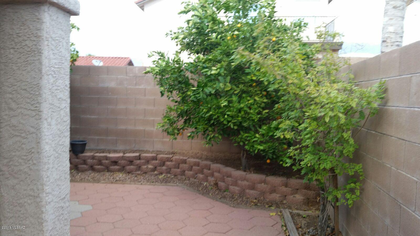 8945 E Rainsage Street