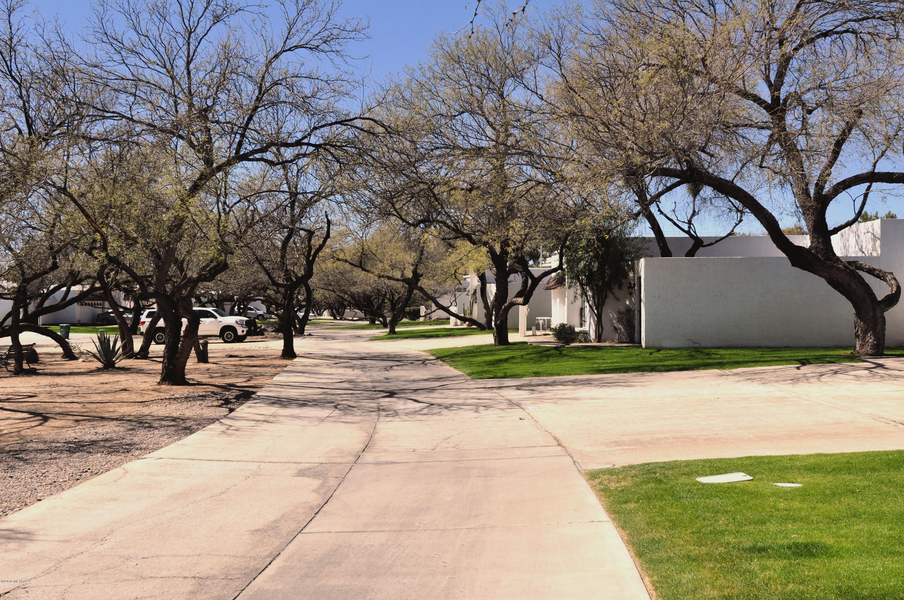 7147 E Sabino Vista Circle
