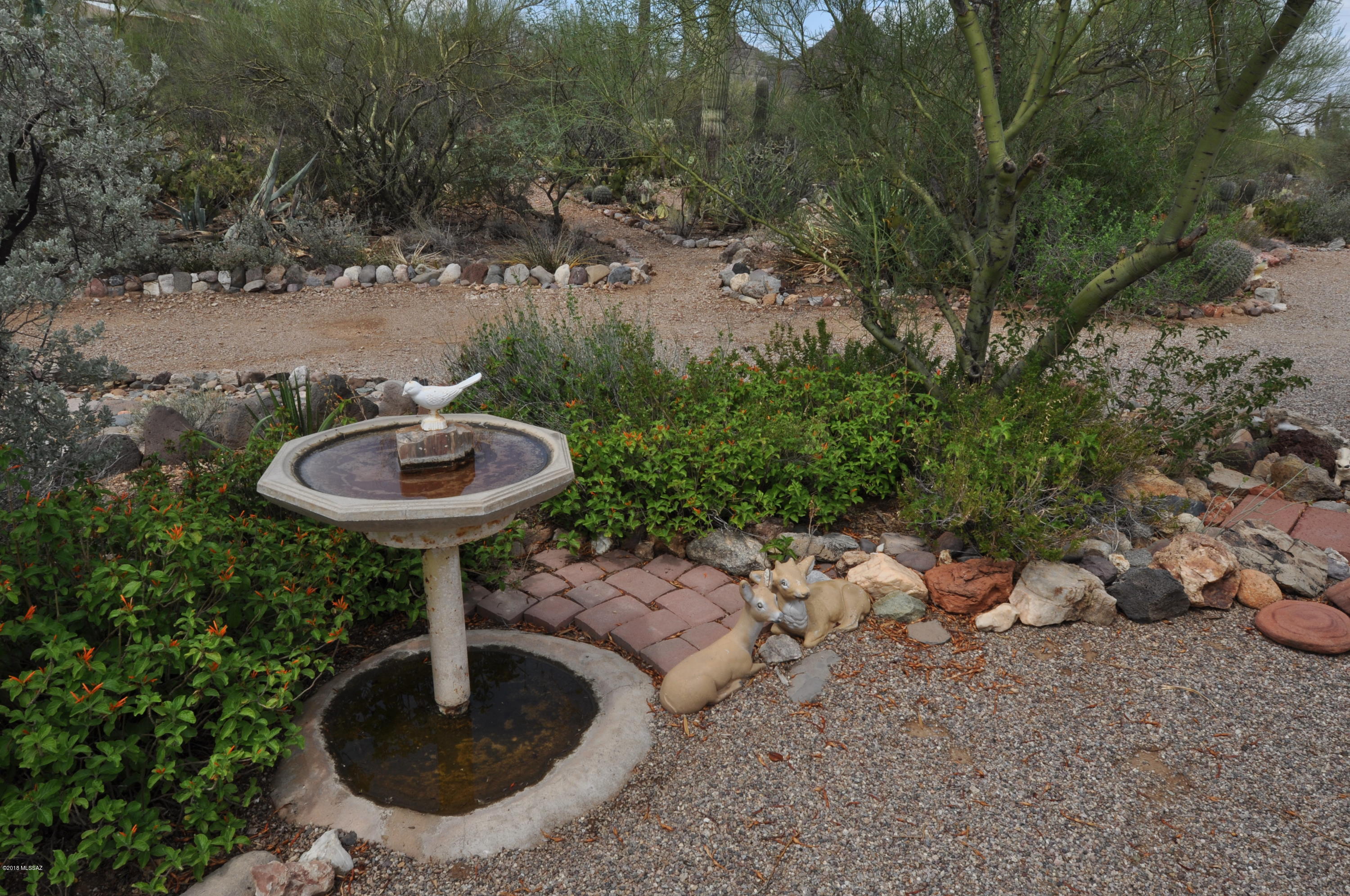 5145 S Cactus Wren Avenue