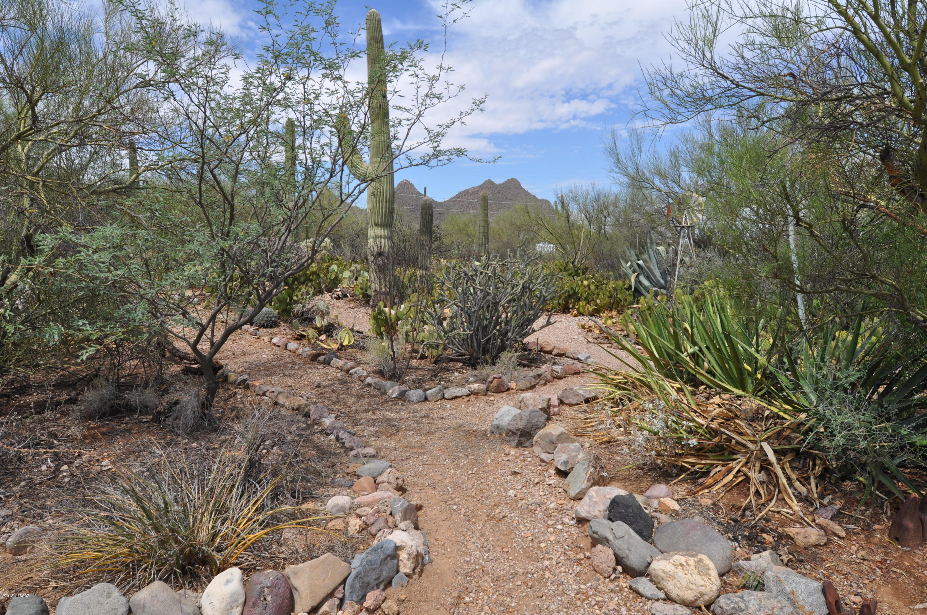 5145 S Cactus Wren Avenue