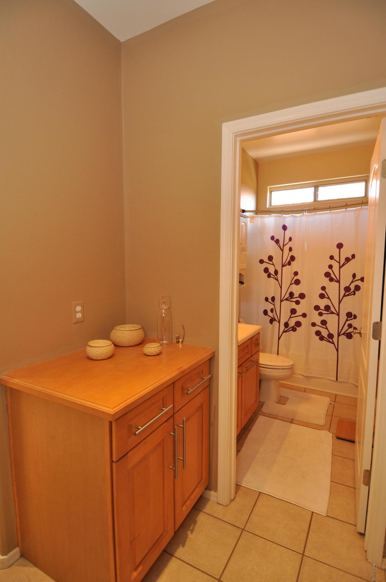 755 W Camino Sorpresa