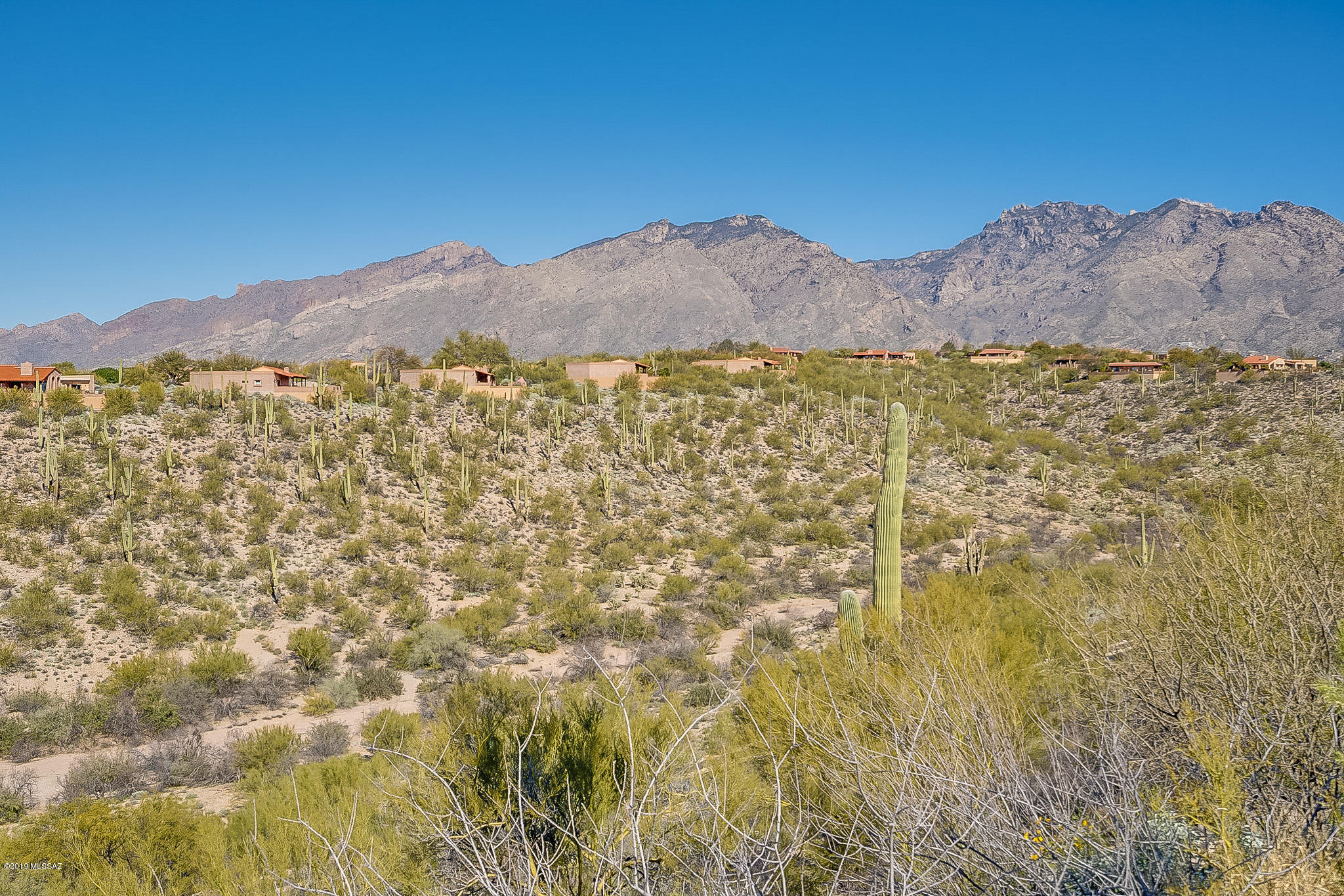 4401 N Camino De Carrillo