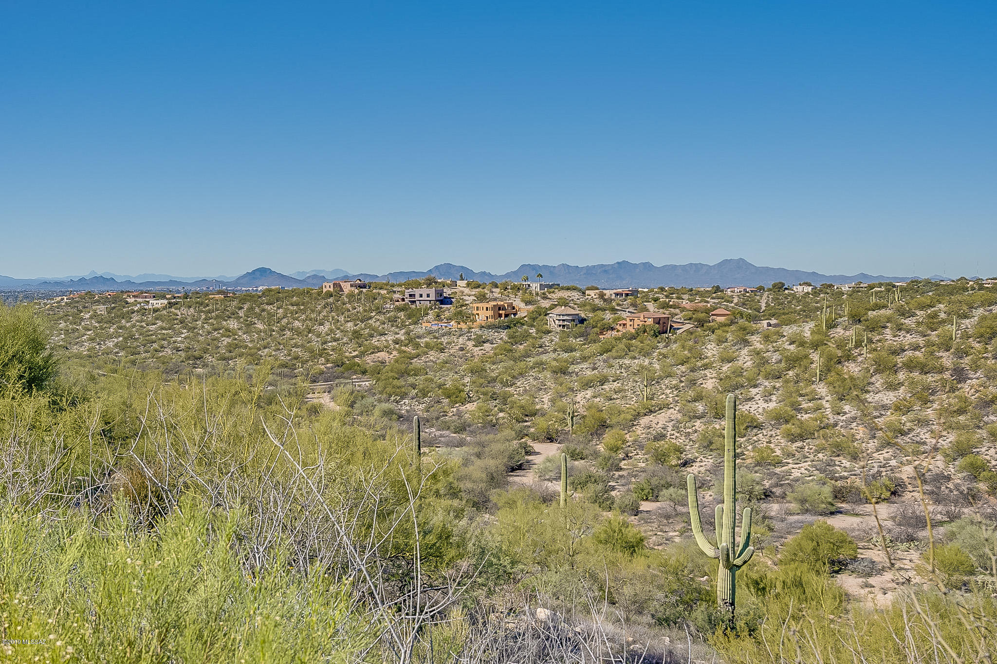 4401 N Camino De Carrillo