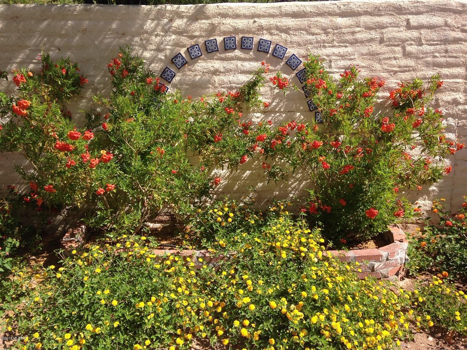 5420 N Paseo Sonoyta