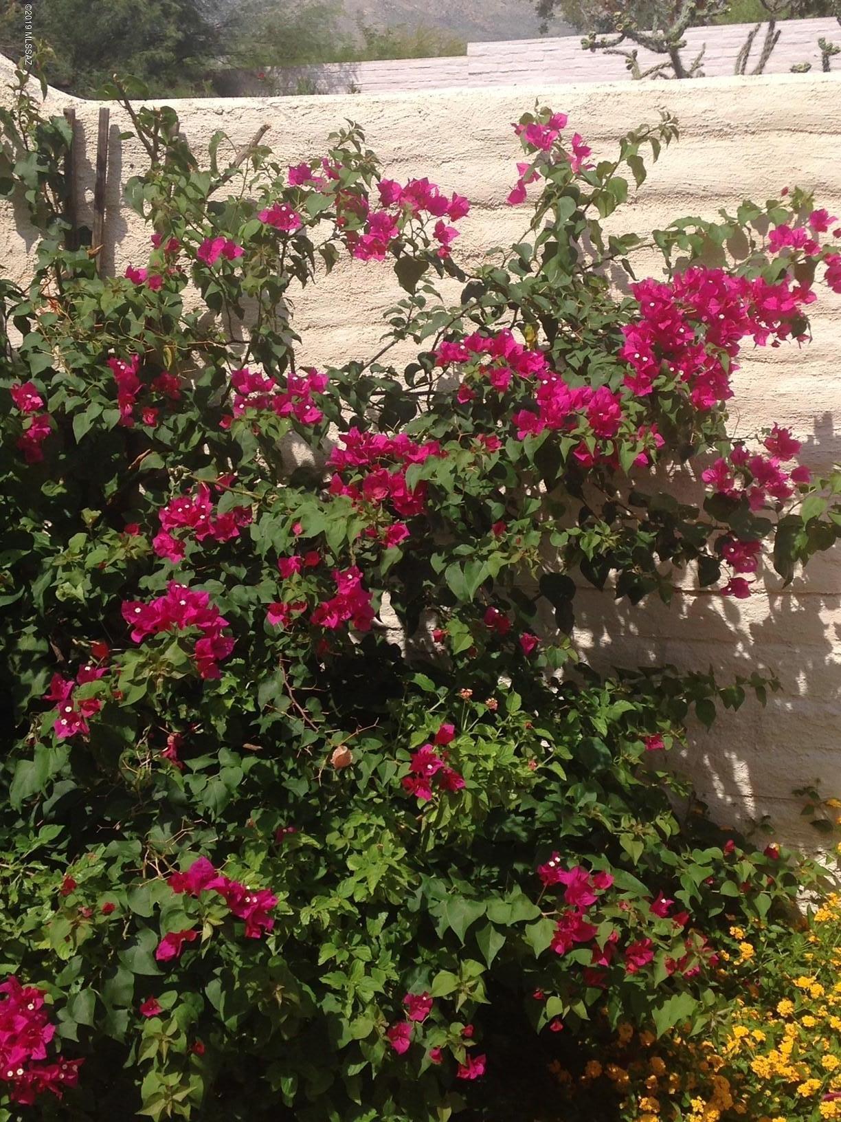 5420 N Paseo Sonoyta