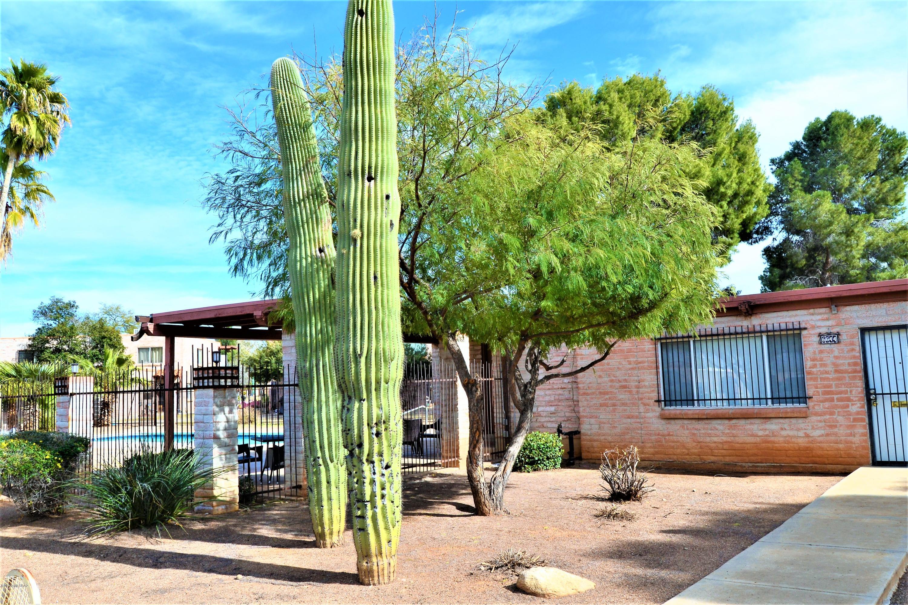 6656 Calle La Paz Unit: A