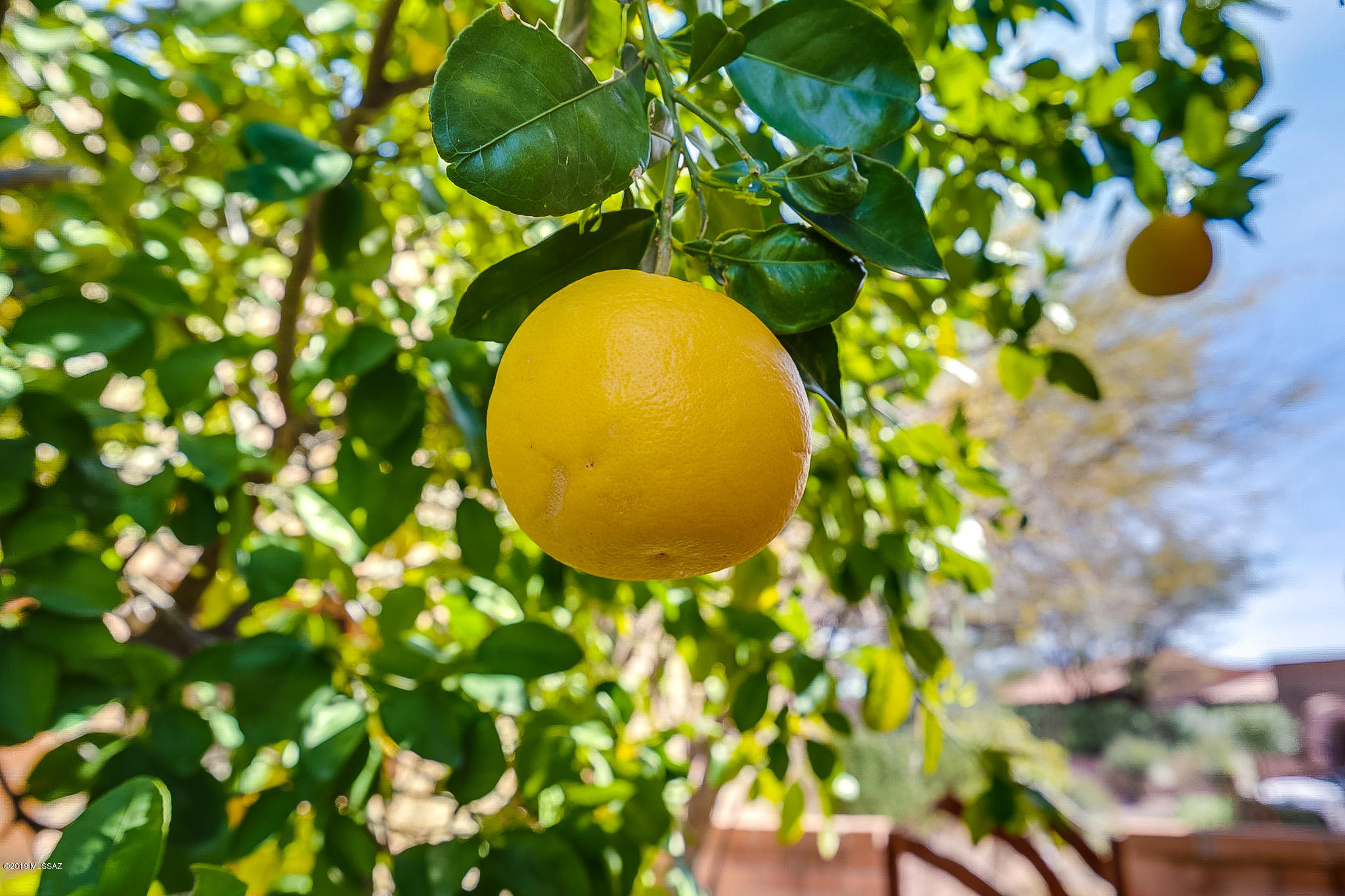 5201 N Via Velazquez