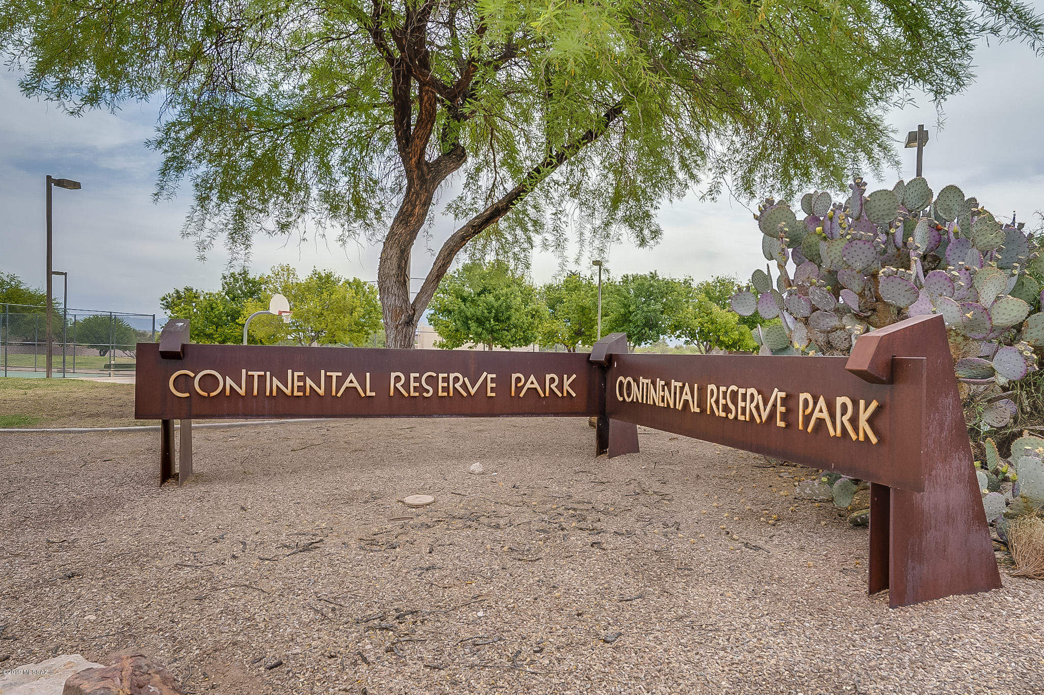 7993 N Wayward Star Drive