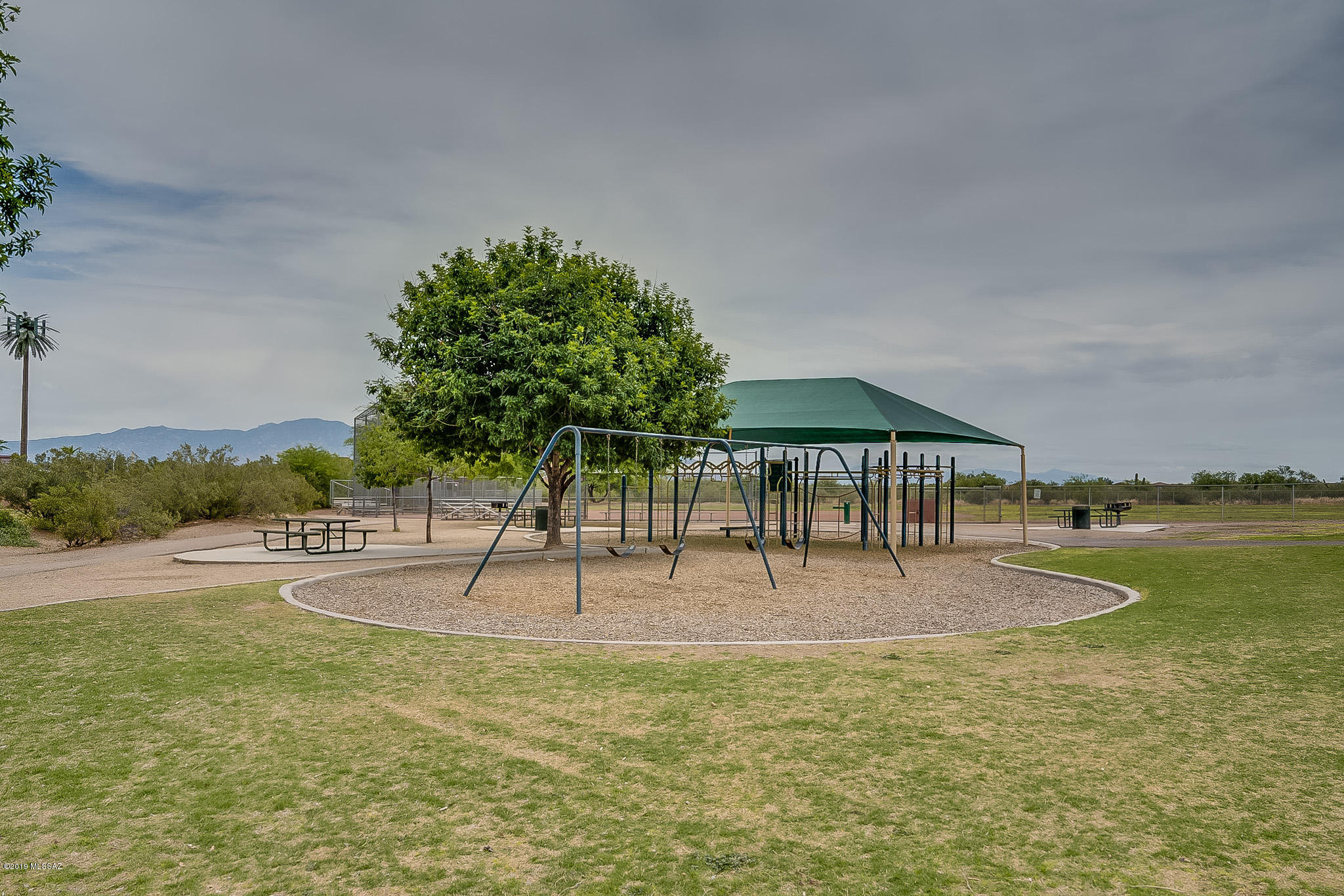 7993 N Wayward Star Drive