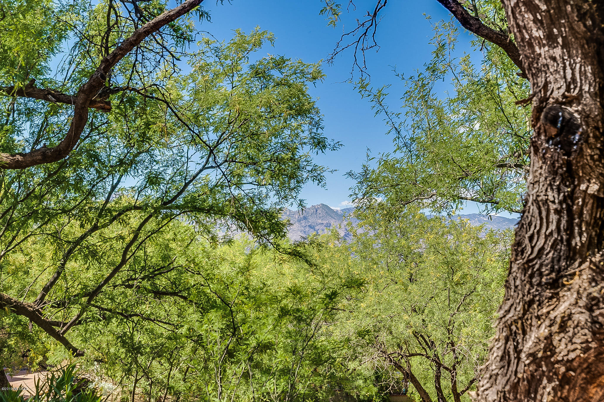 7755 E Camino Perdido