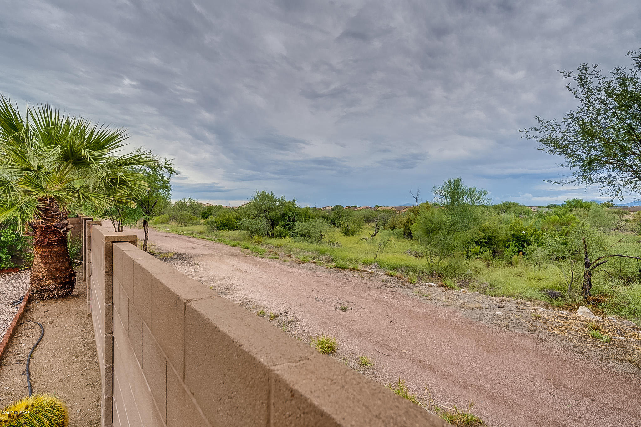 5000 E Butterweed Drive