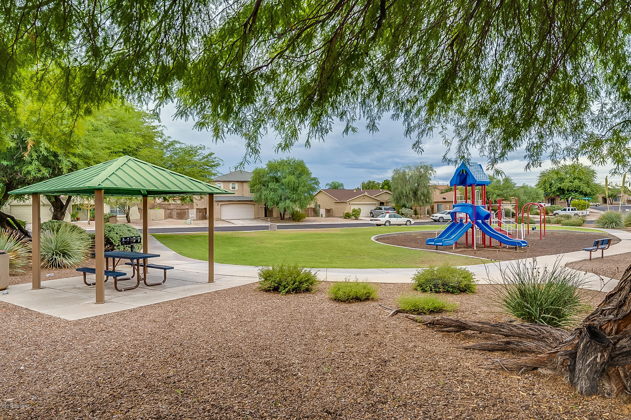 5000 E Butterweed Drive