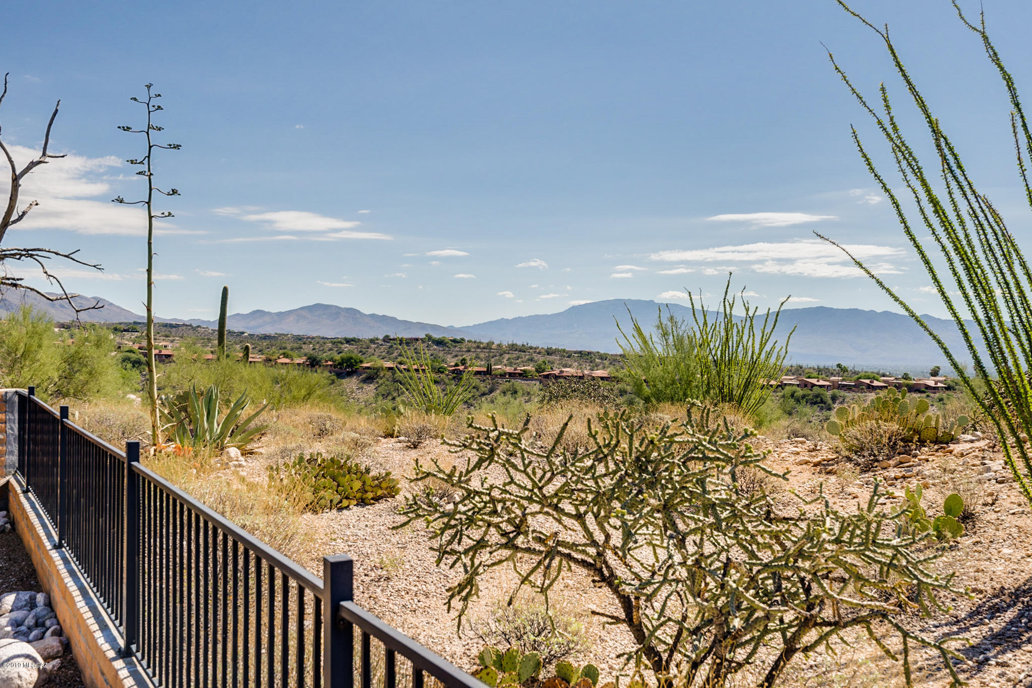 4210 N Camino De Carrillo