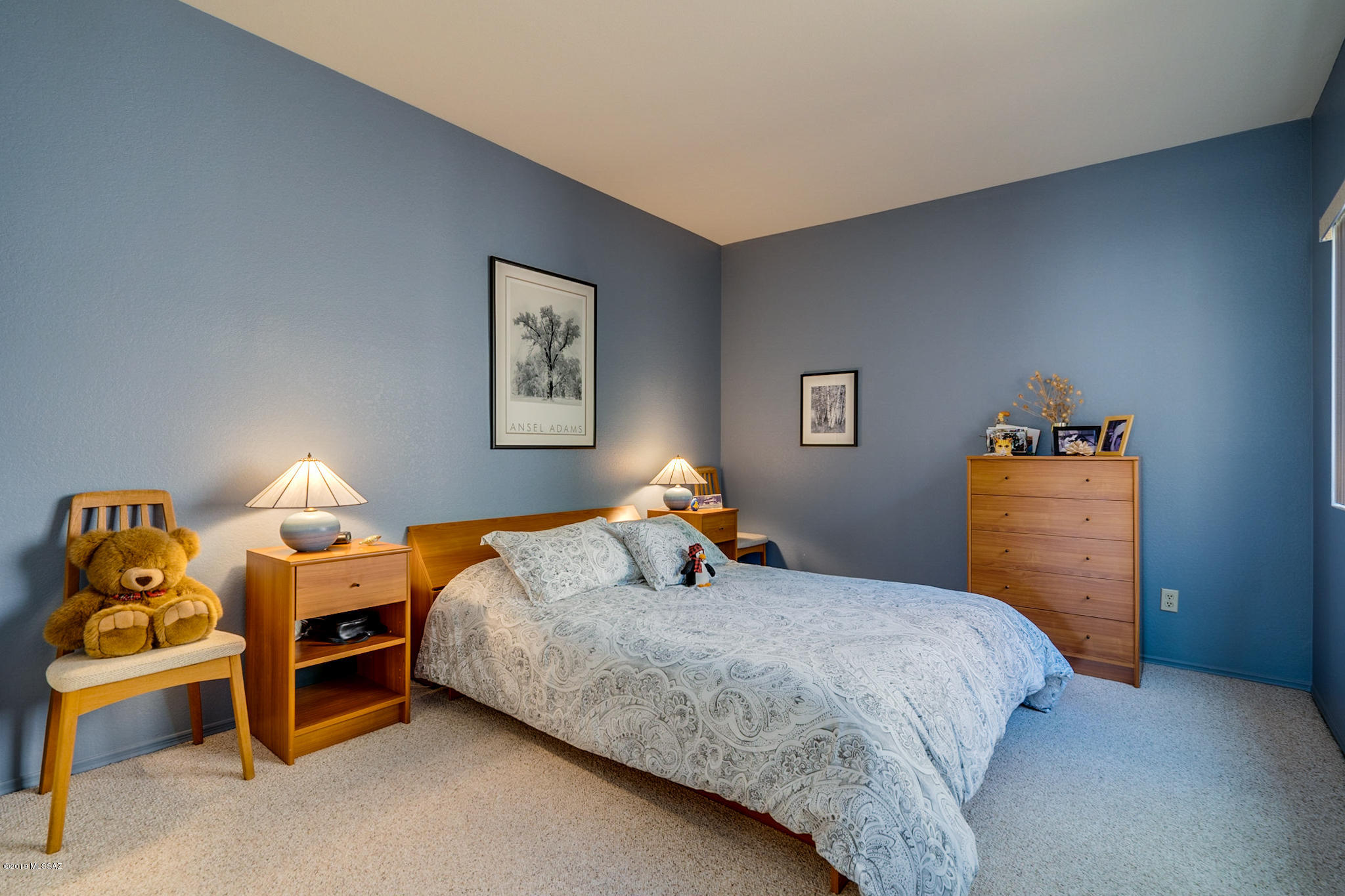 4210 N Camino De Carrillo