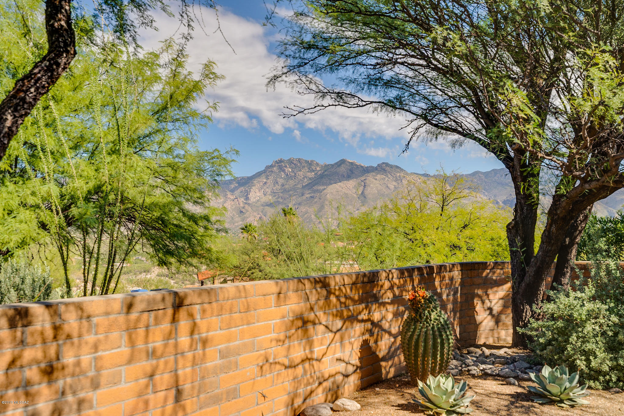 4210 N Camino De Carrillo