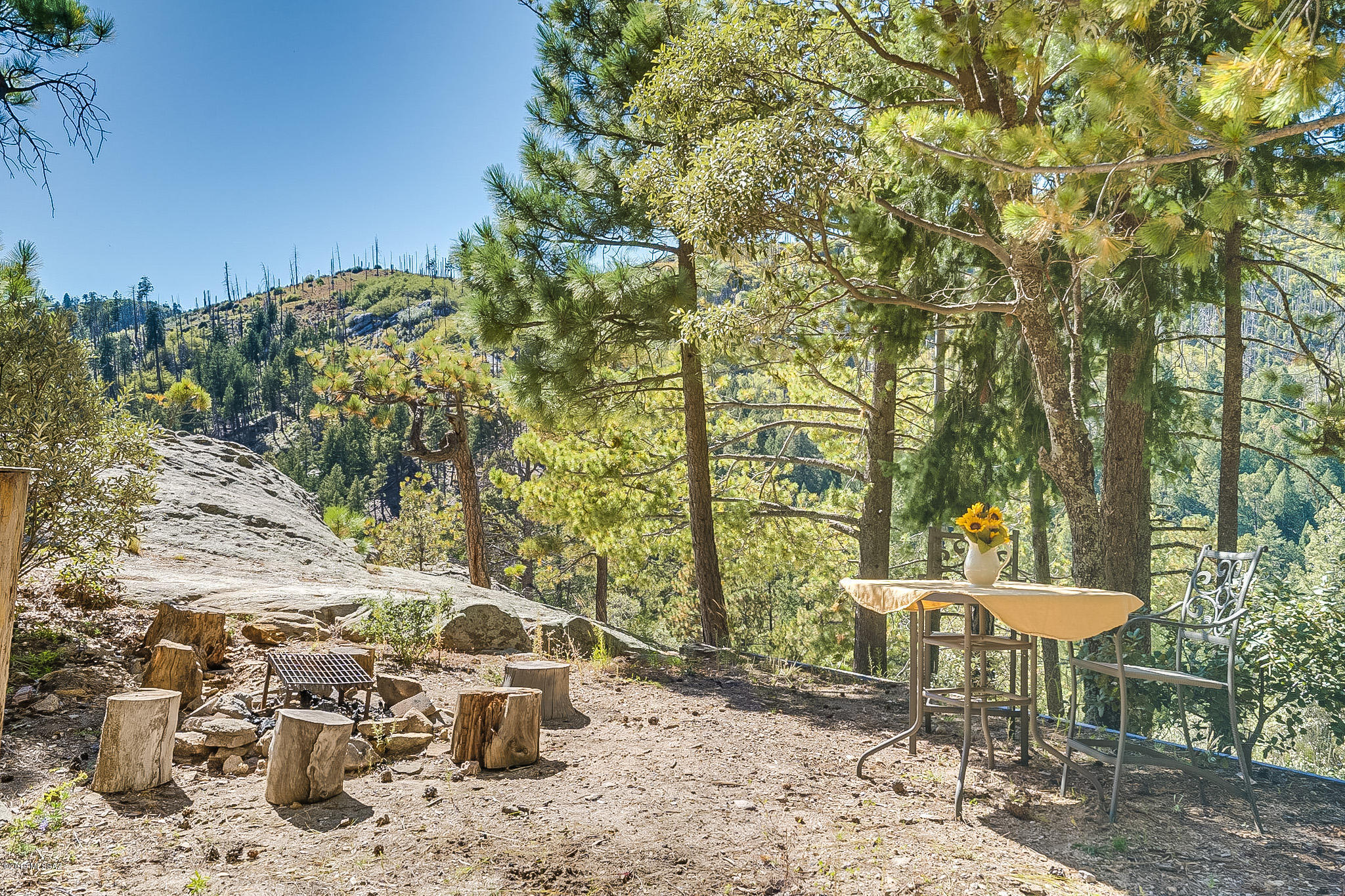 12433 N Middle Sabino Lane N