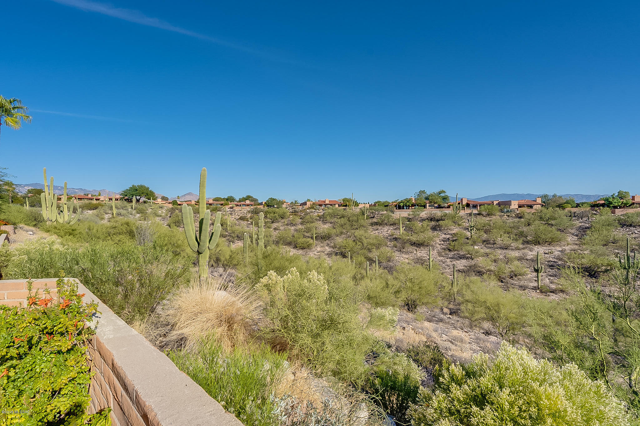 4390 N Camino De Carrillo