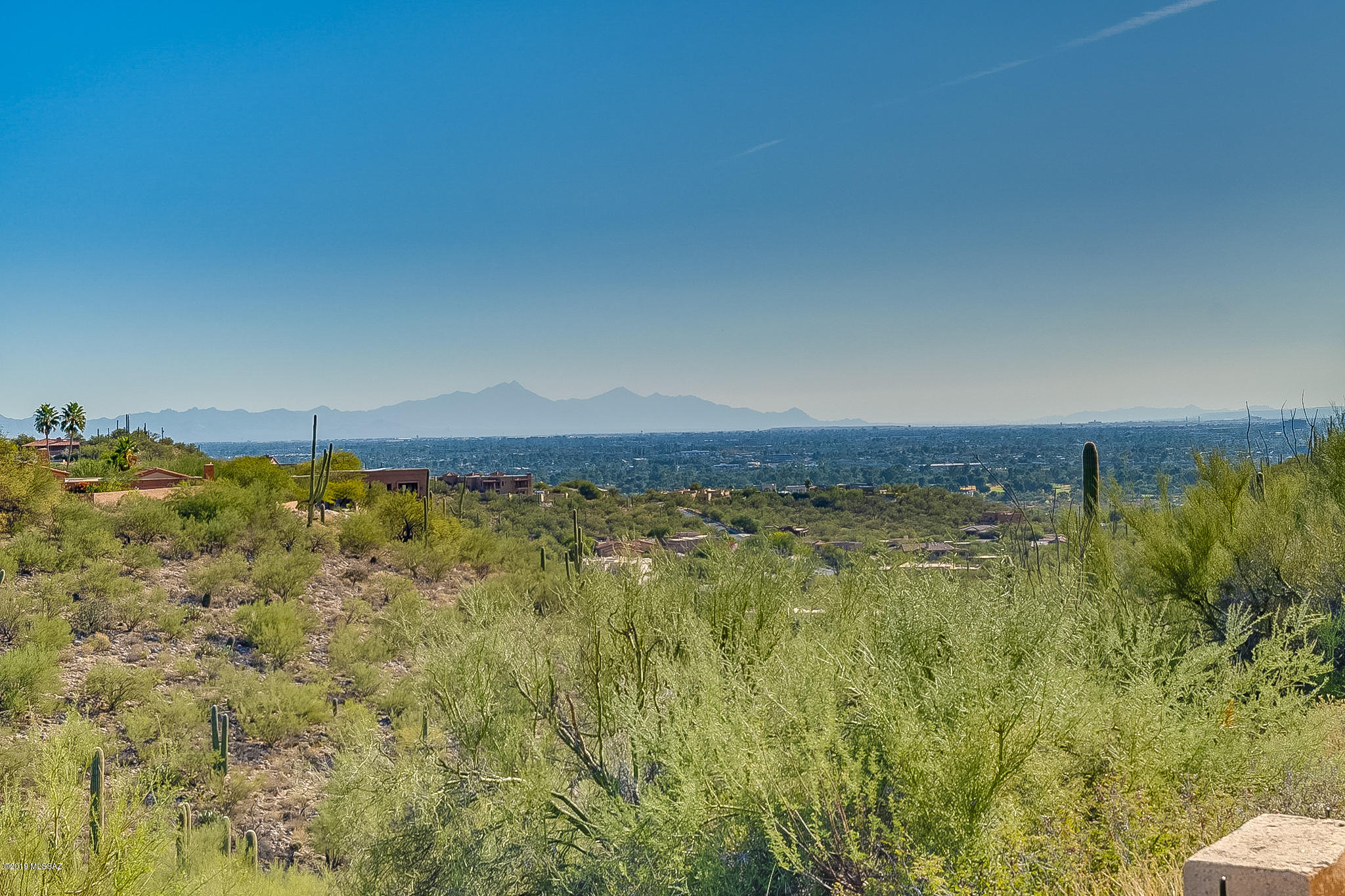 4390 N Camino De Carrillo