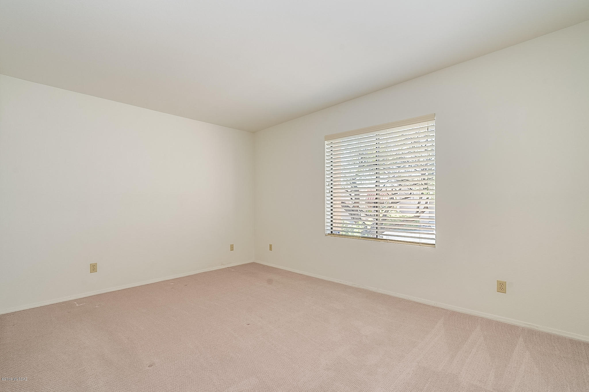 4390 N Camino De Carrillo