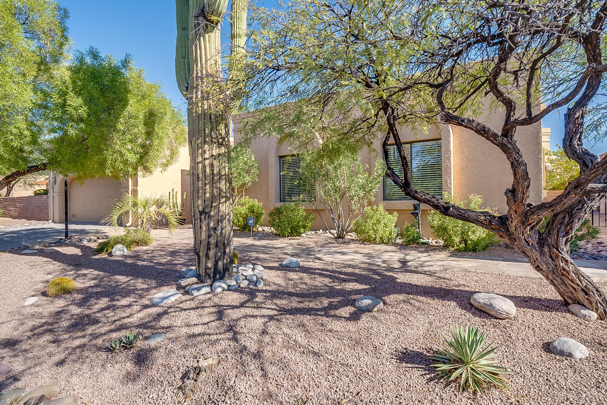 4390 N Camino De Carrillo